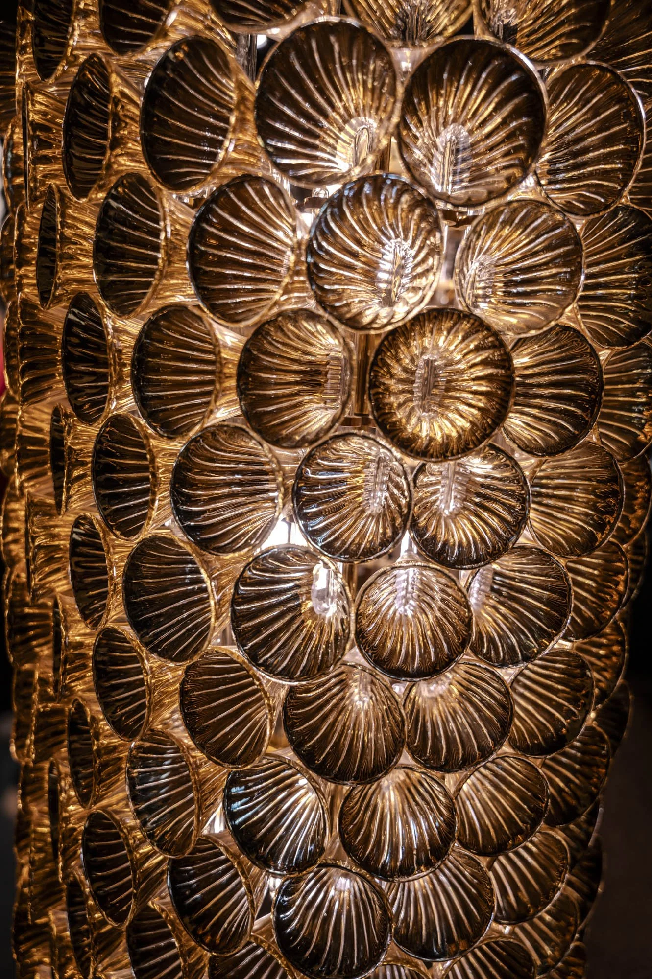 Objets en verre en forme de coquilles Saint-Jacques disposés de façon décorative avec un éclairage chaud.