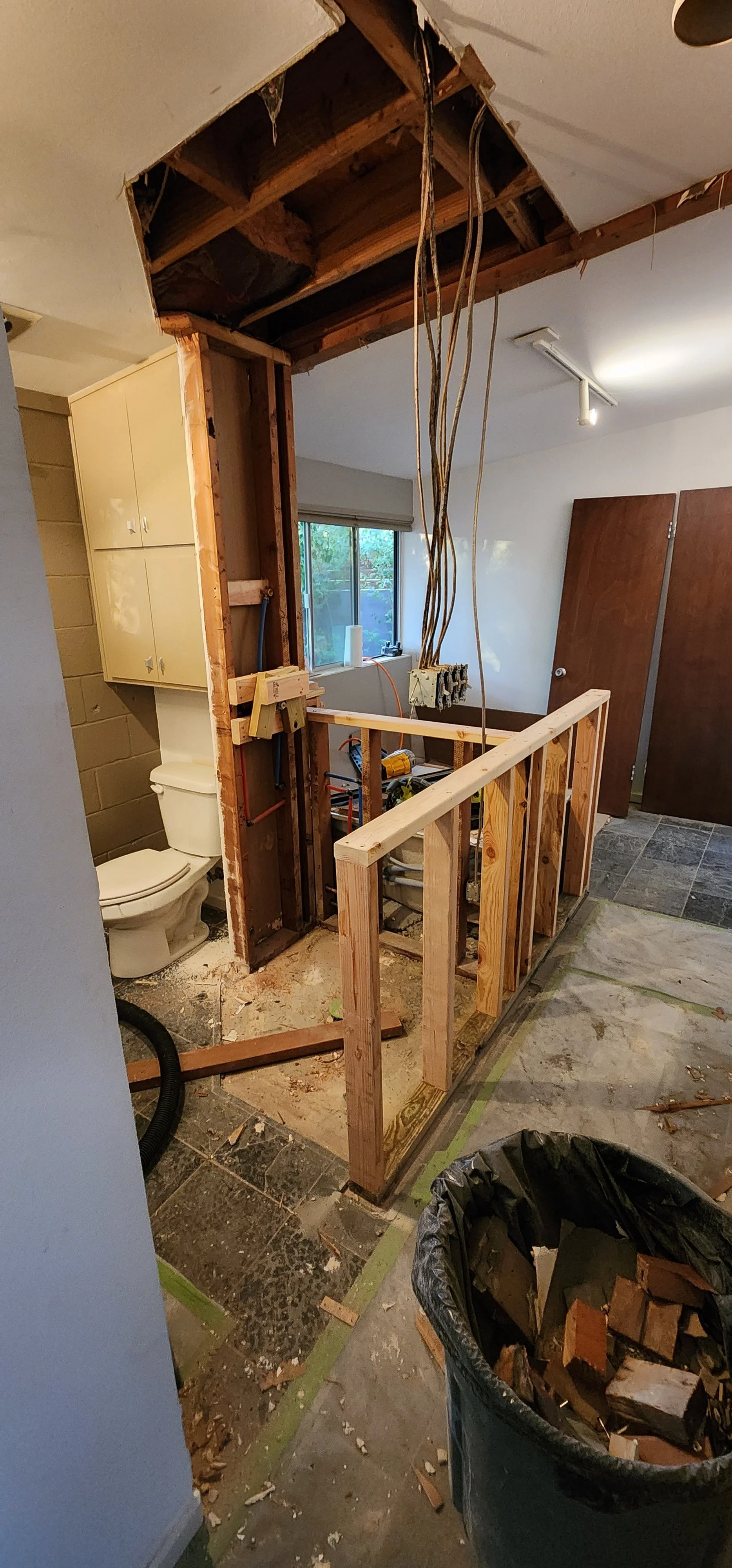 Denton-Bathroom-Remodel-HP-shower-in-progress-3.jpg