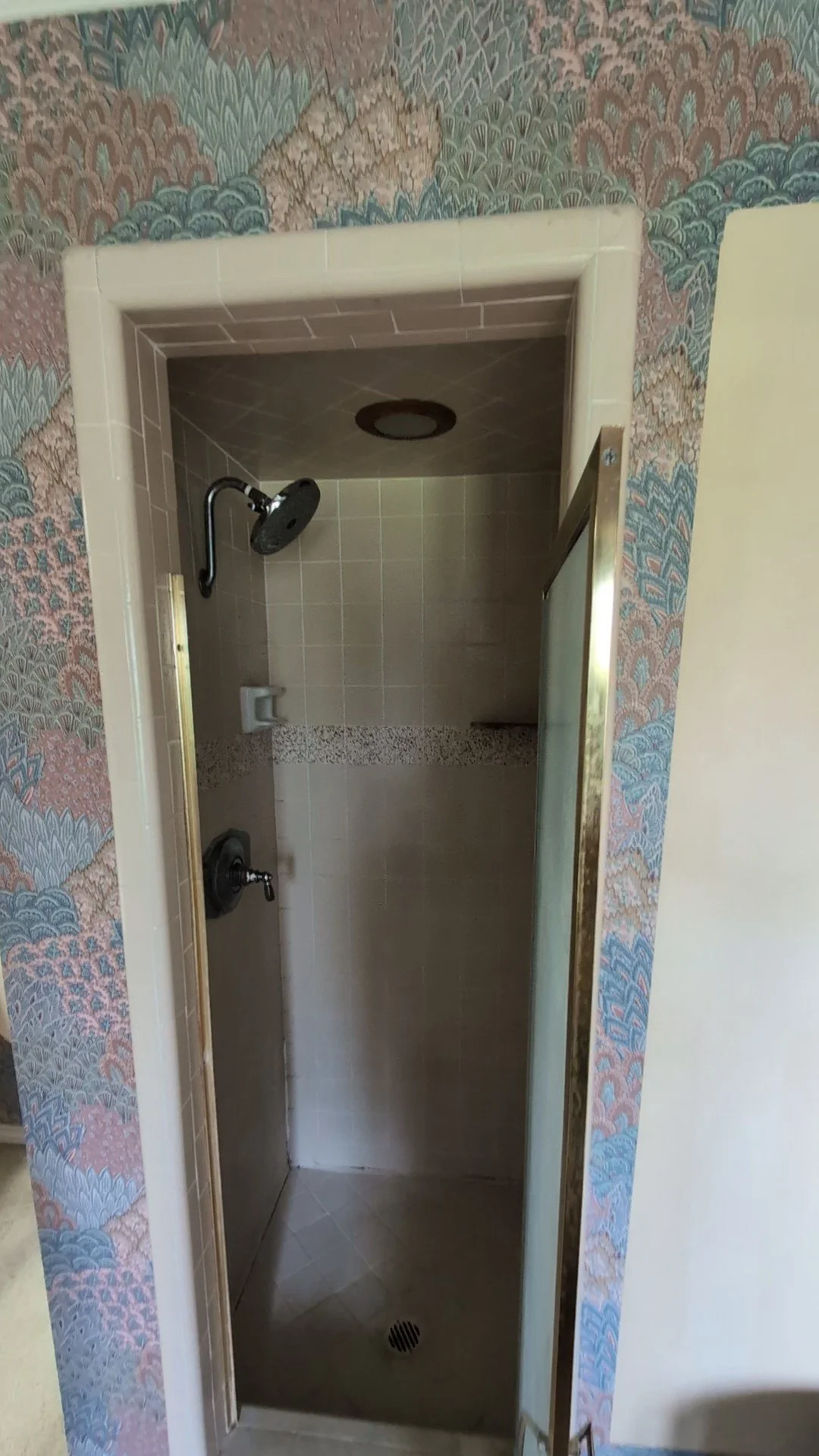 Double Oak bathroom remodel shower before