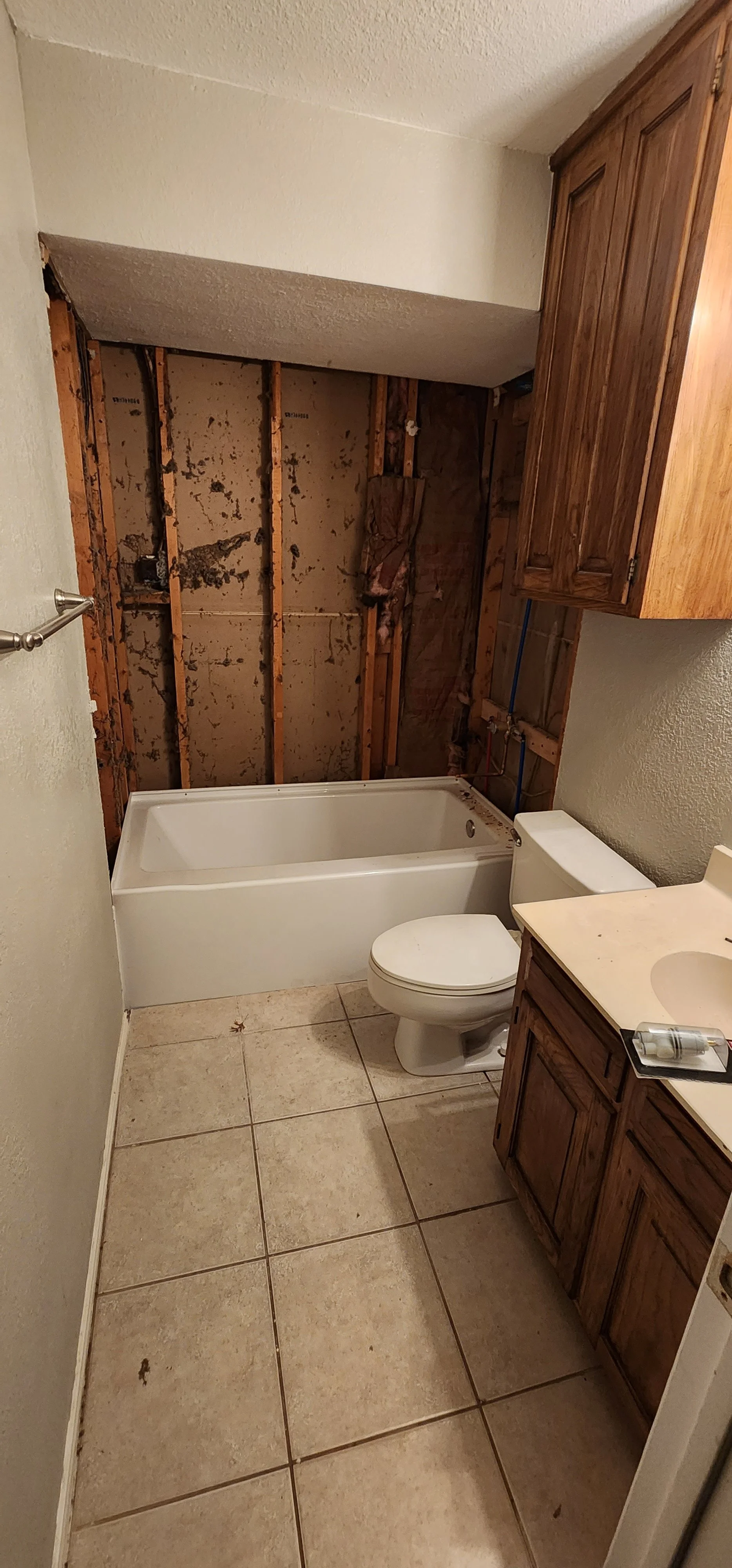Denton-tx-bathroom-remodel-guest-progress-1.jpg