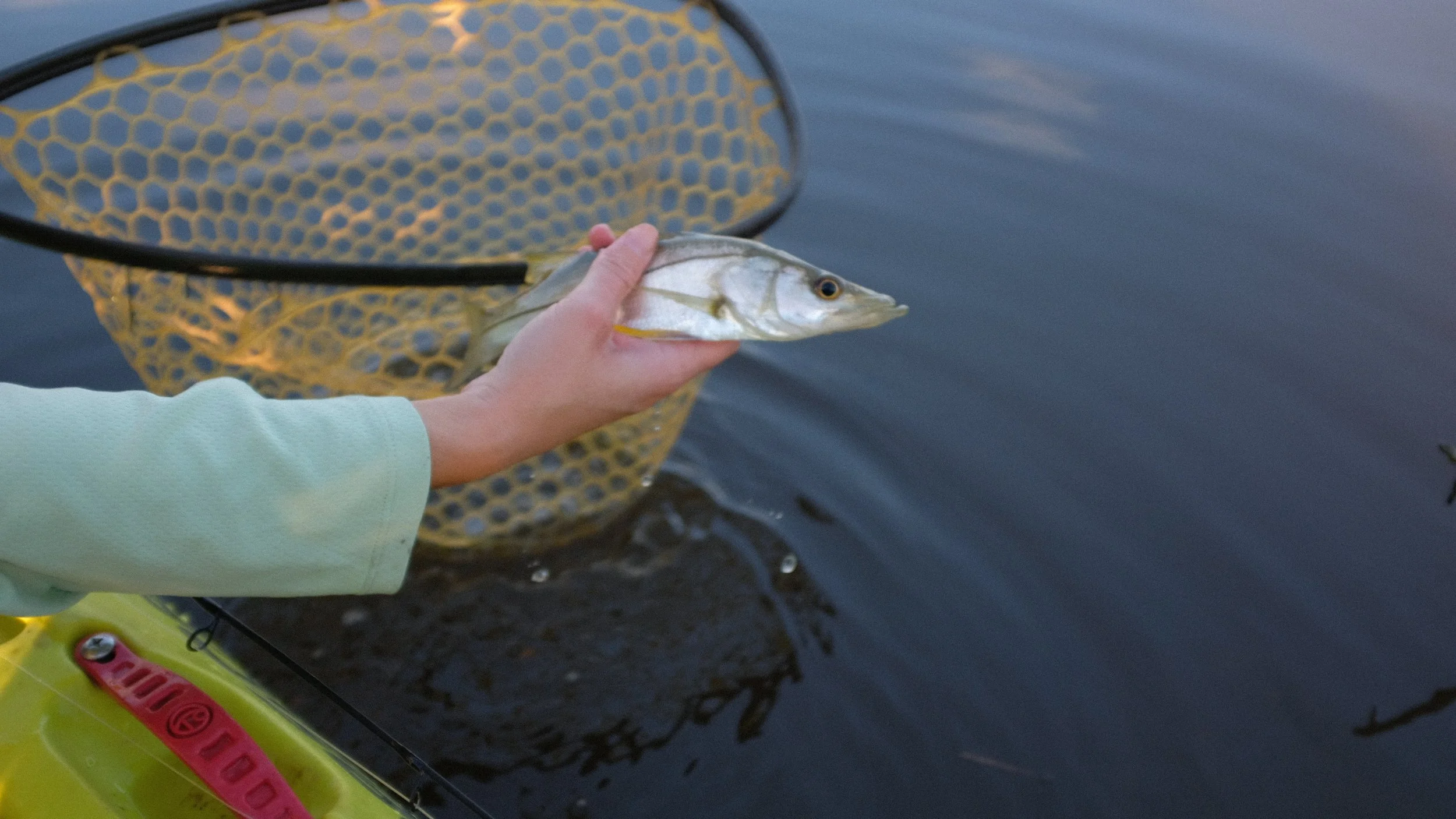 Person holding a fish over water with a fishing net in the background.