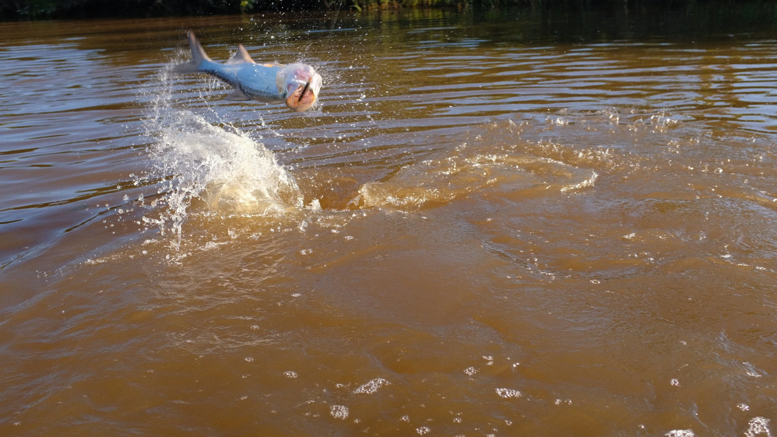 DSCF9761.JPG