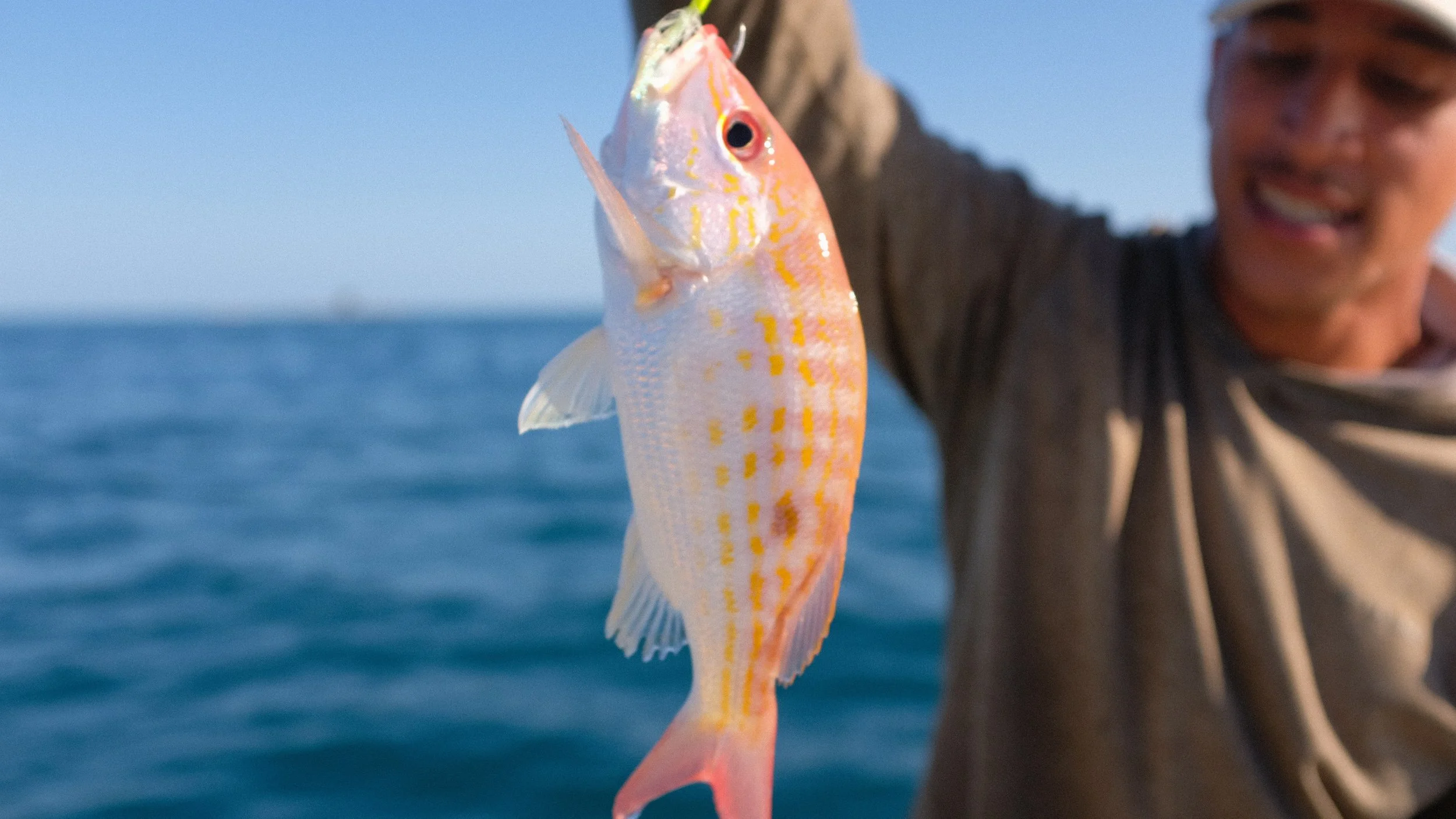 Person holding a pink and yellow fish with water and sky in the background.