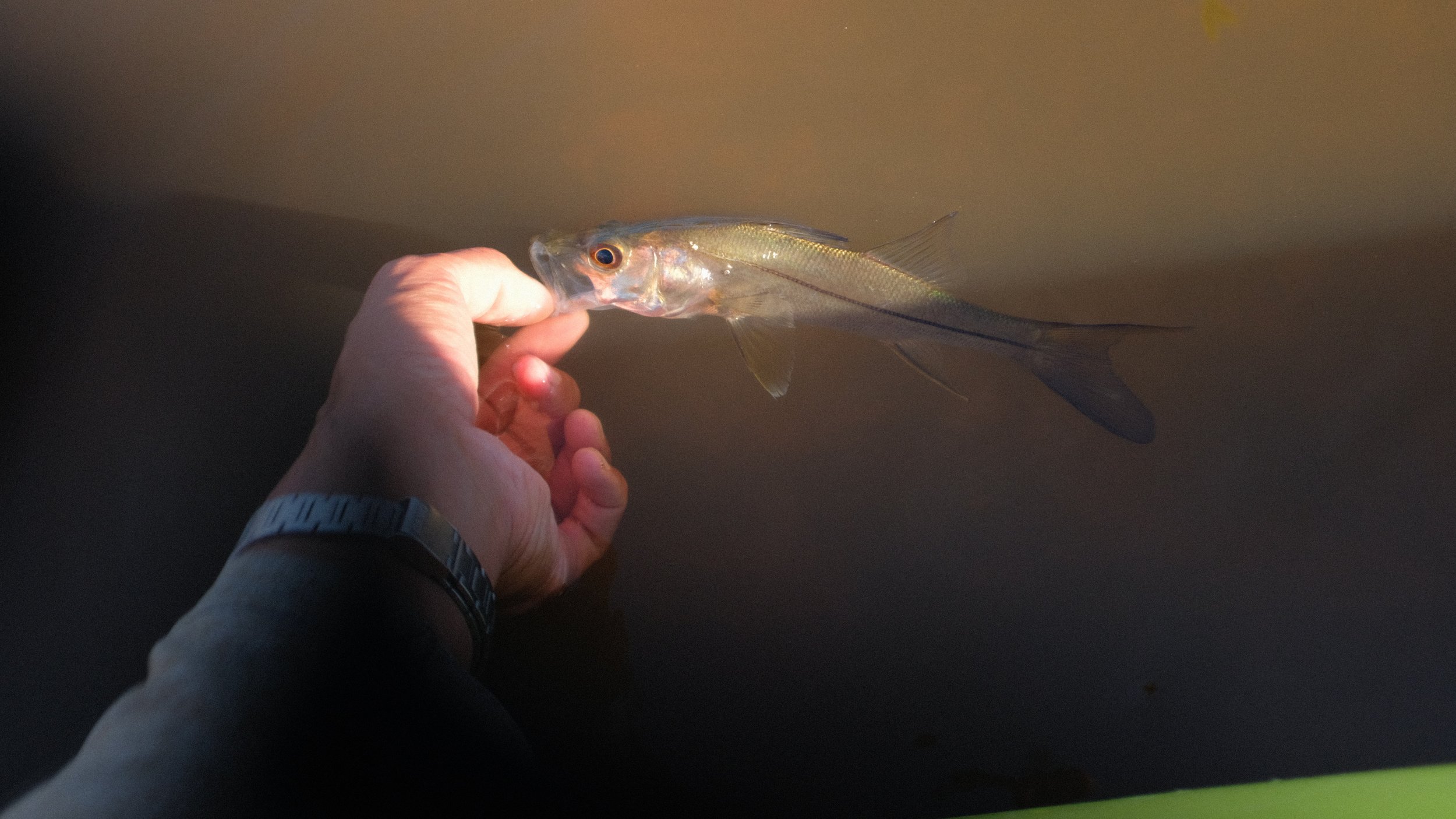 DSCF9605.JPG