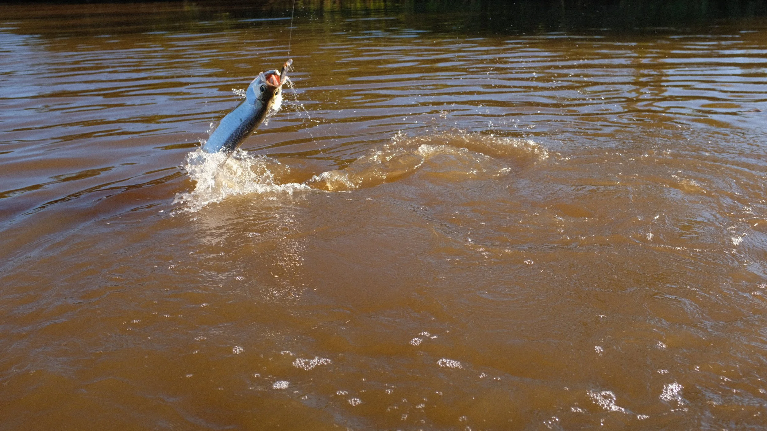DSCF9760.JPG