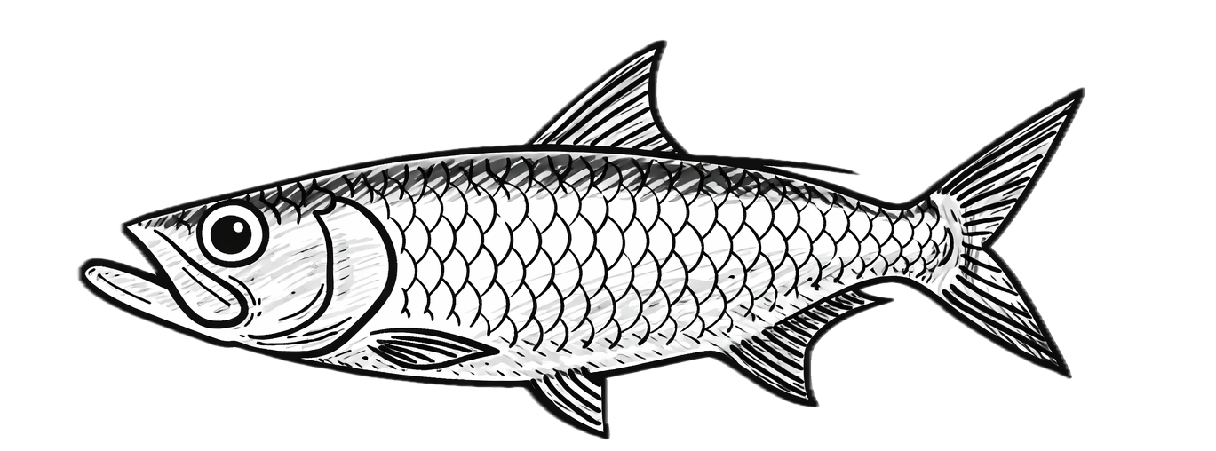 A black and white illustration of a fish with a detailed scale pattern, fins, and an open mouth.