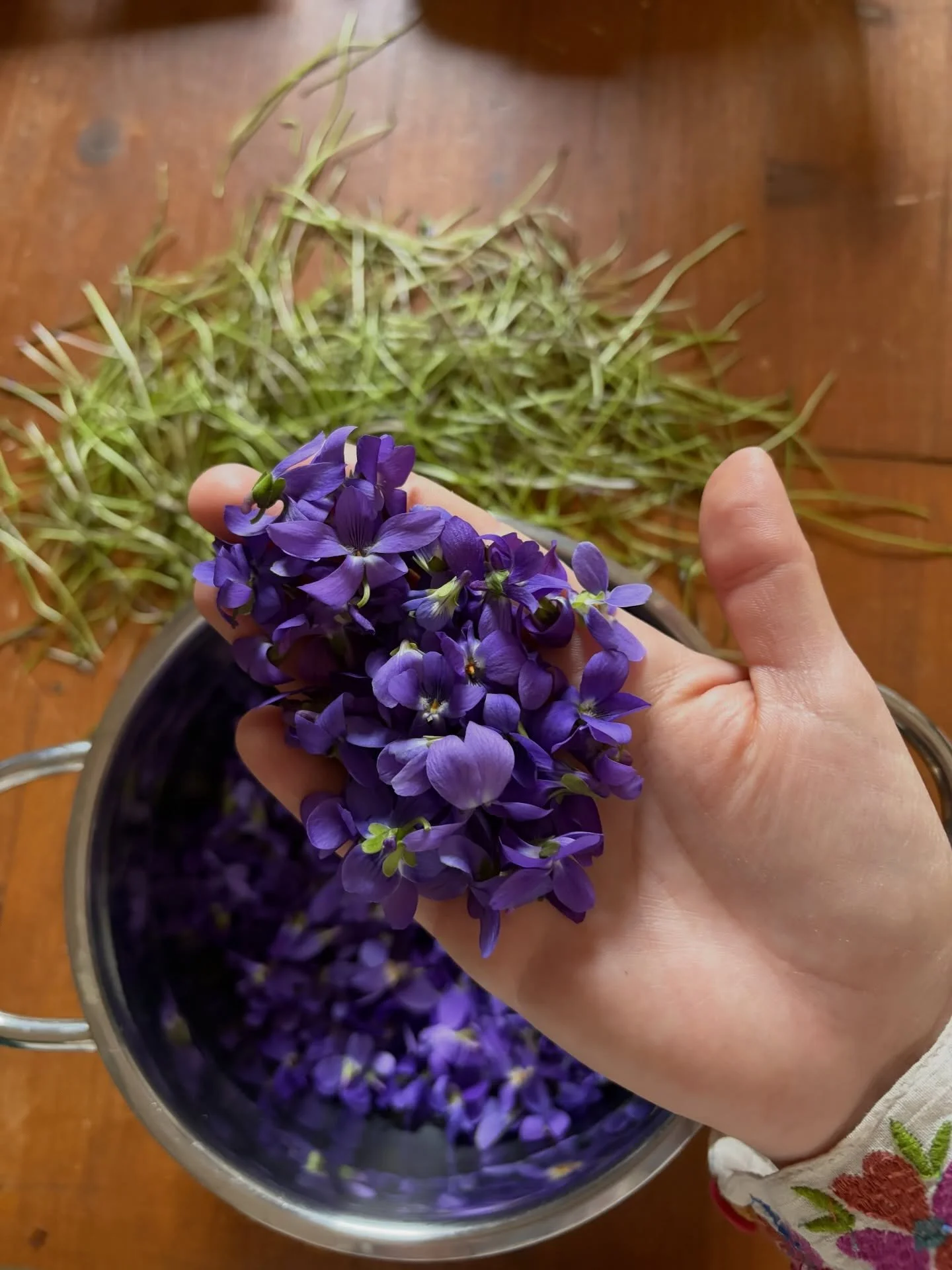 I did my first syrup of 2026!! 💕😍🌿 I absolutely adore the mixture between honey and violets, it&rsquo;s such delicious aroma to have around the house 🏡 and this year the forest is soooo full of violets! 😍 it&rsquo;s absolutely wonderful!!! ✨

#v