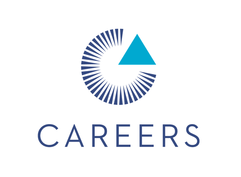 Circular infographic with a blue triangle inside, the word 'CAREERS' below, and a black background.