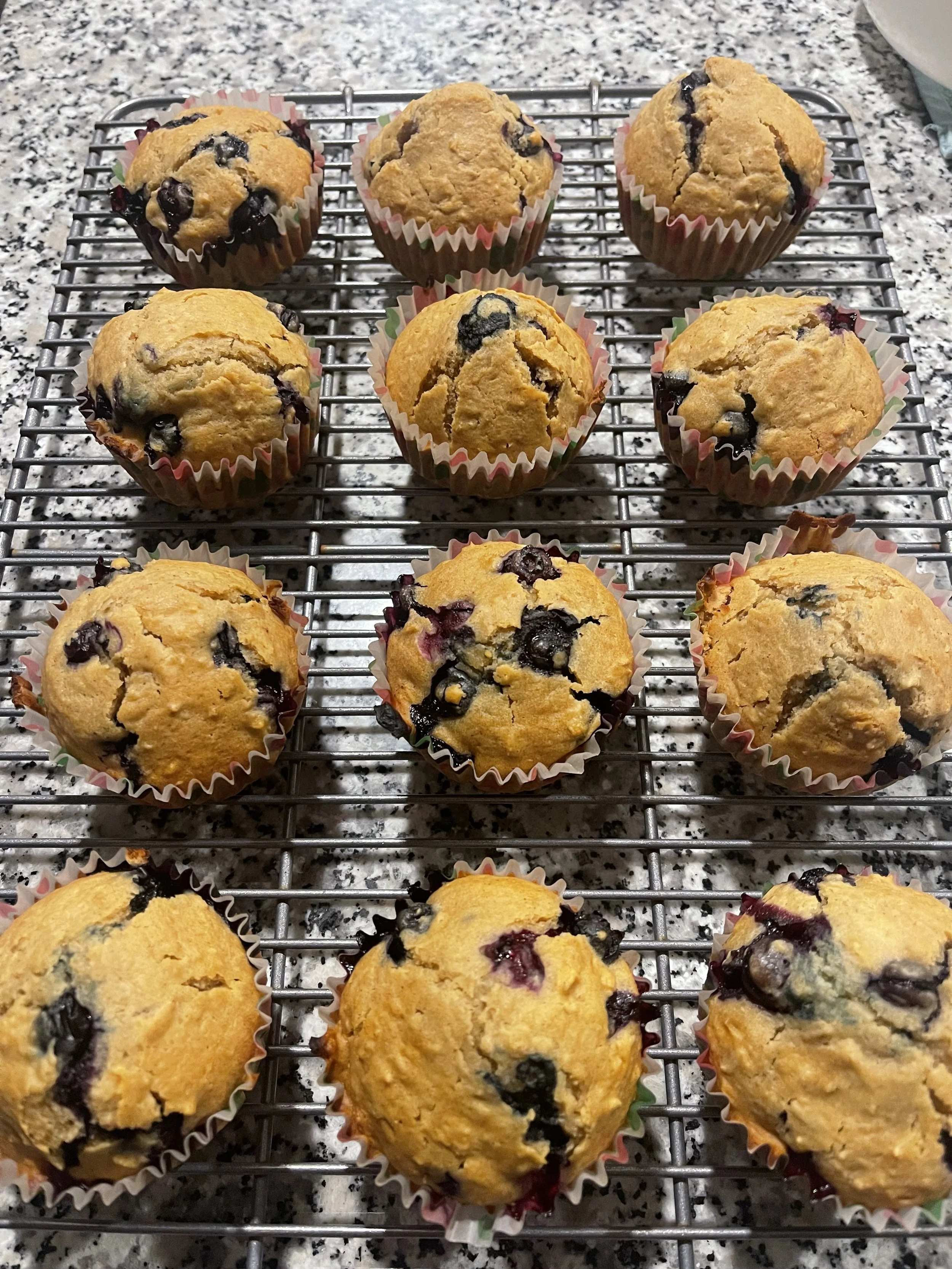 Gluten Free Blueberry Muffins