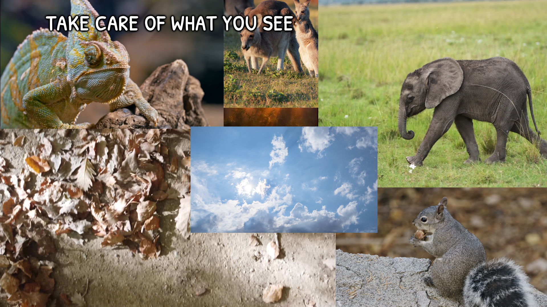 Take Care of What You See