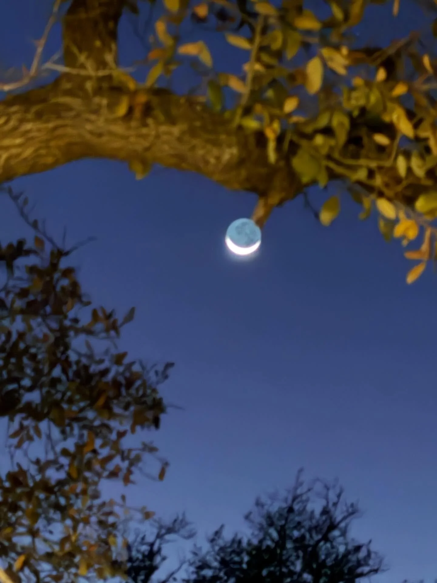 Peaceful ❤️ #therapytexas #peace #moon #nature