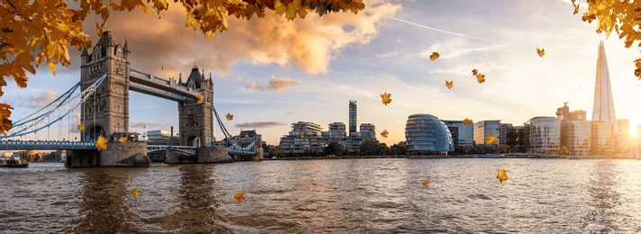 London skyline featuring Tower Bridge and The Shard, with autumn leaves in the foreground