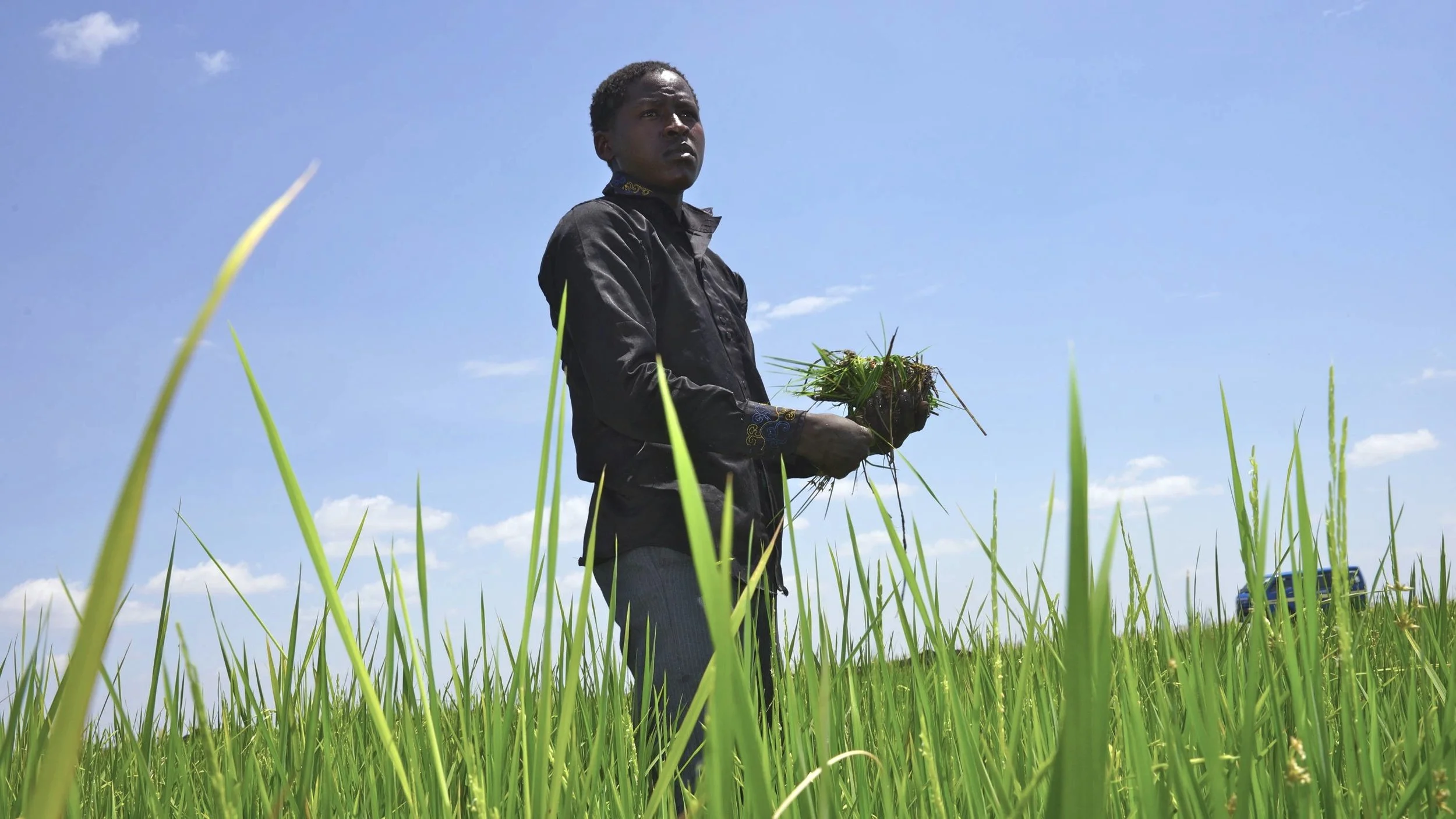 ricefarmerkenya.jpg