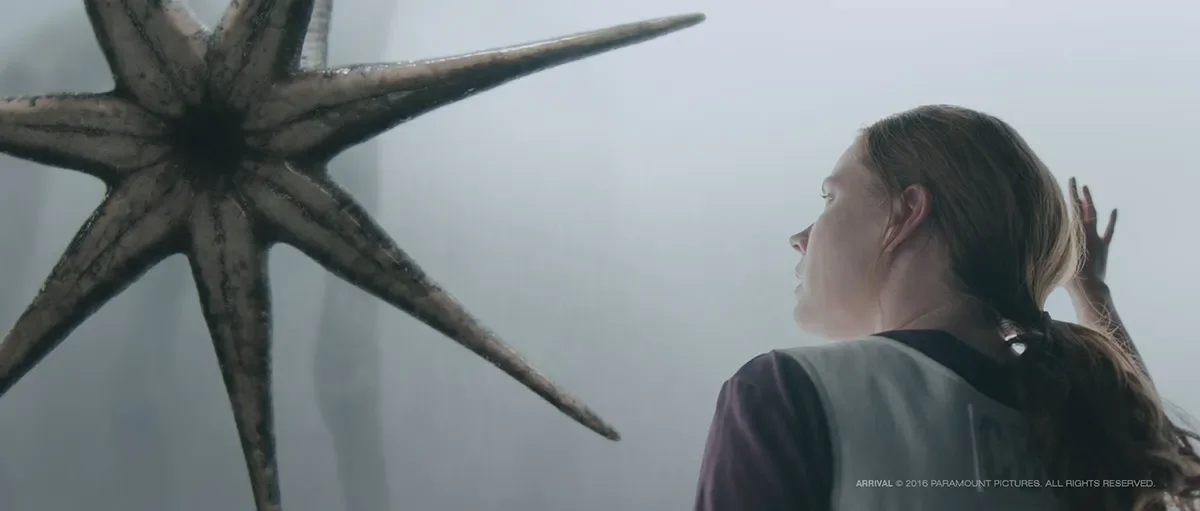 Amy Adams communes with alien visitors in "Arrival"
