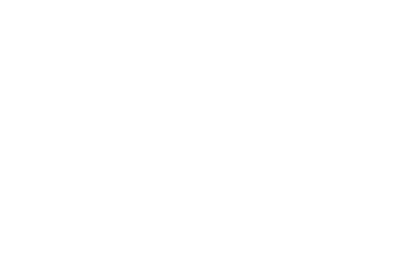 Dizajn logotipa za Gozdni Mož - vizualni identitet izradio blokhaus kreativni studio.