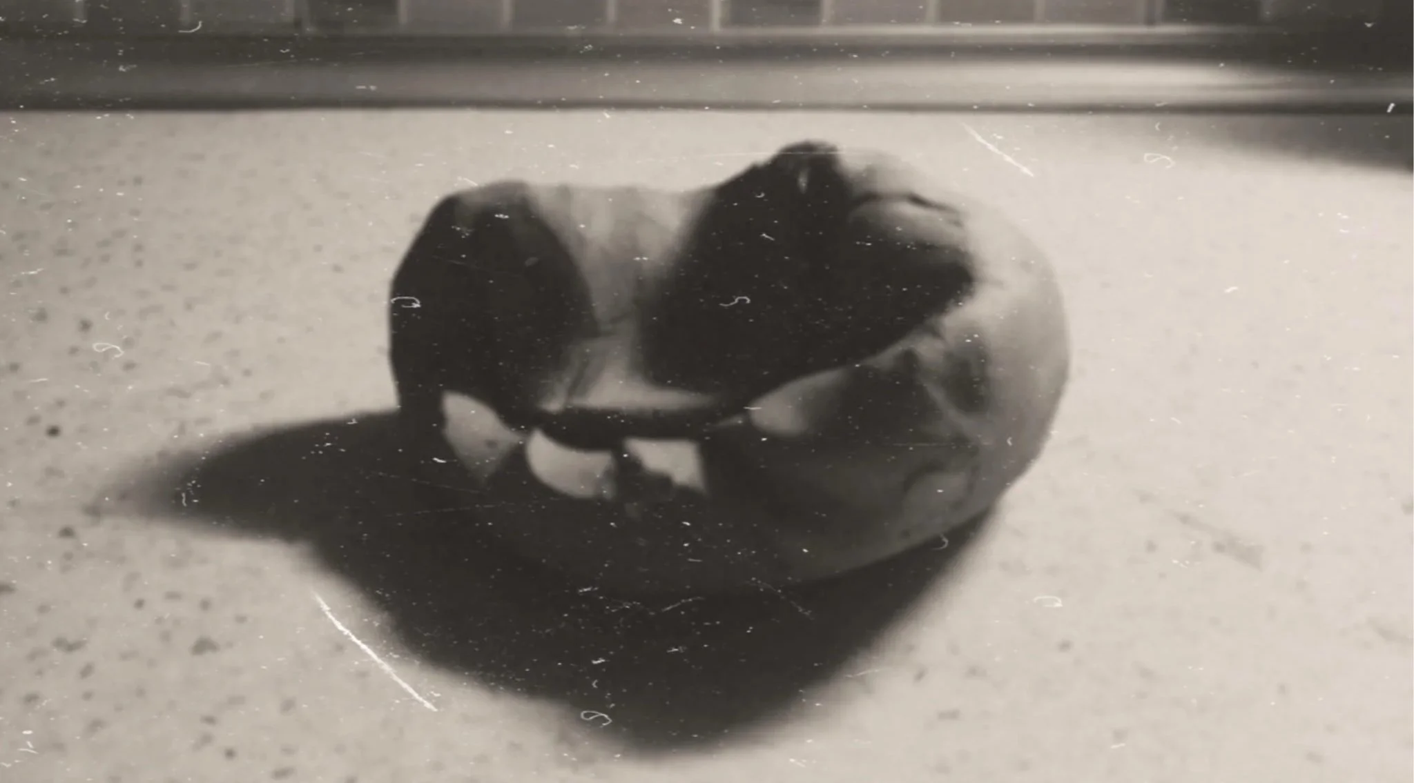 Black and white photograph of a clay kneaded on the workbench casts a long shadow on the bench.