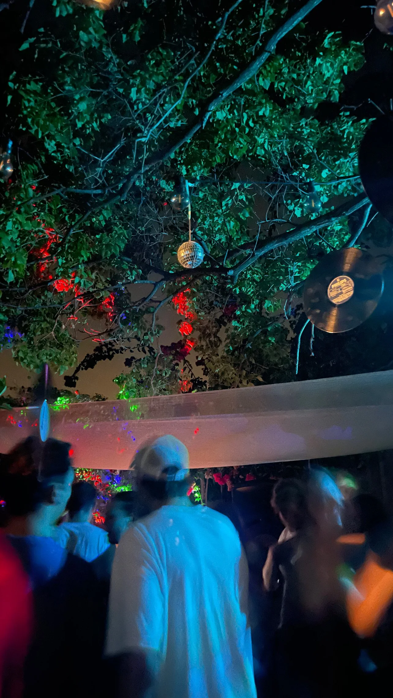 image of a party, disco balls hang from trees, red and green lights shine and people are dancing.
