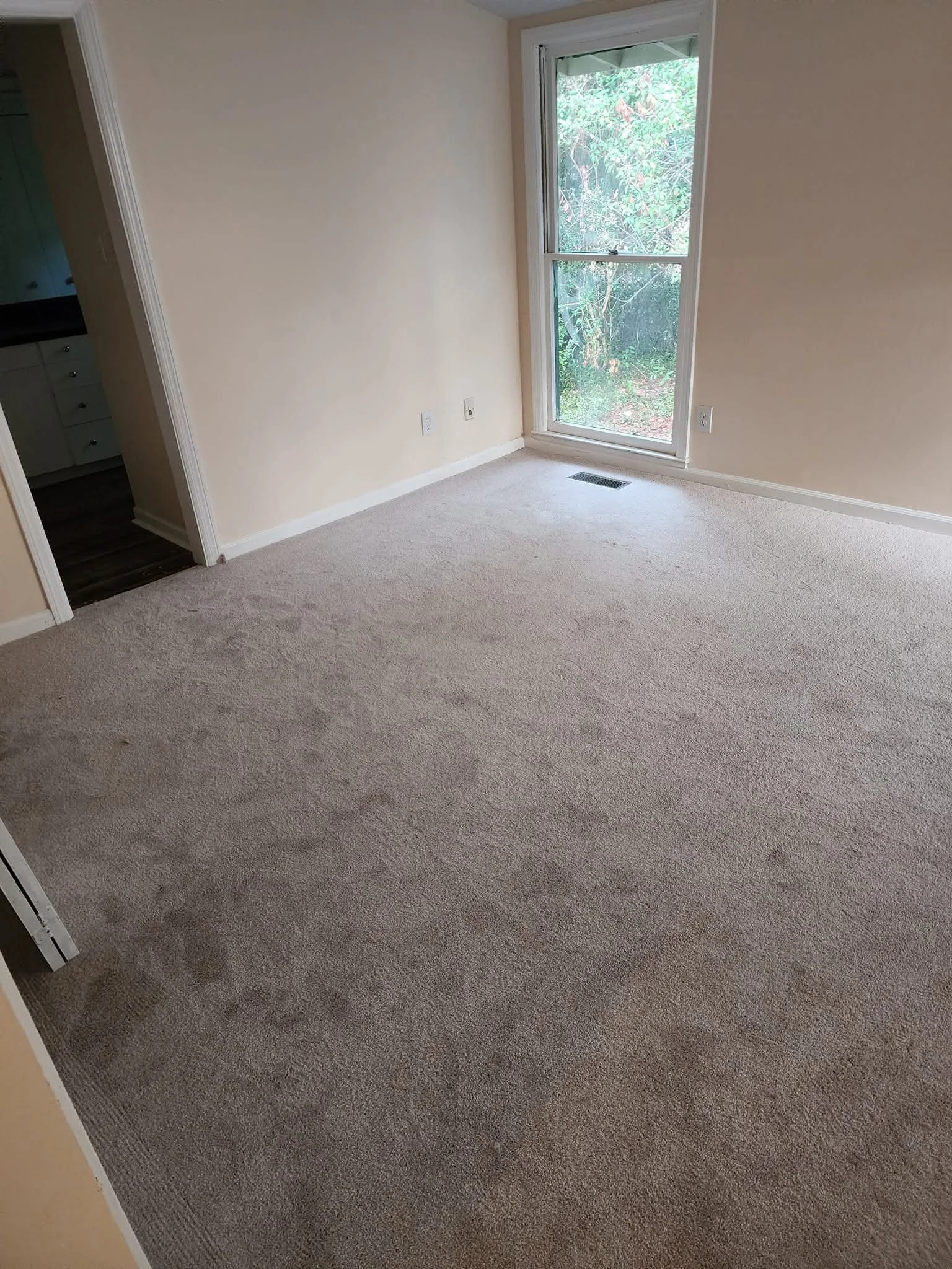 Empty room with beige carpet, cream-colored walls, a large window with outdoor greenery visible, and a doorway leading to a kitchen area.
