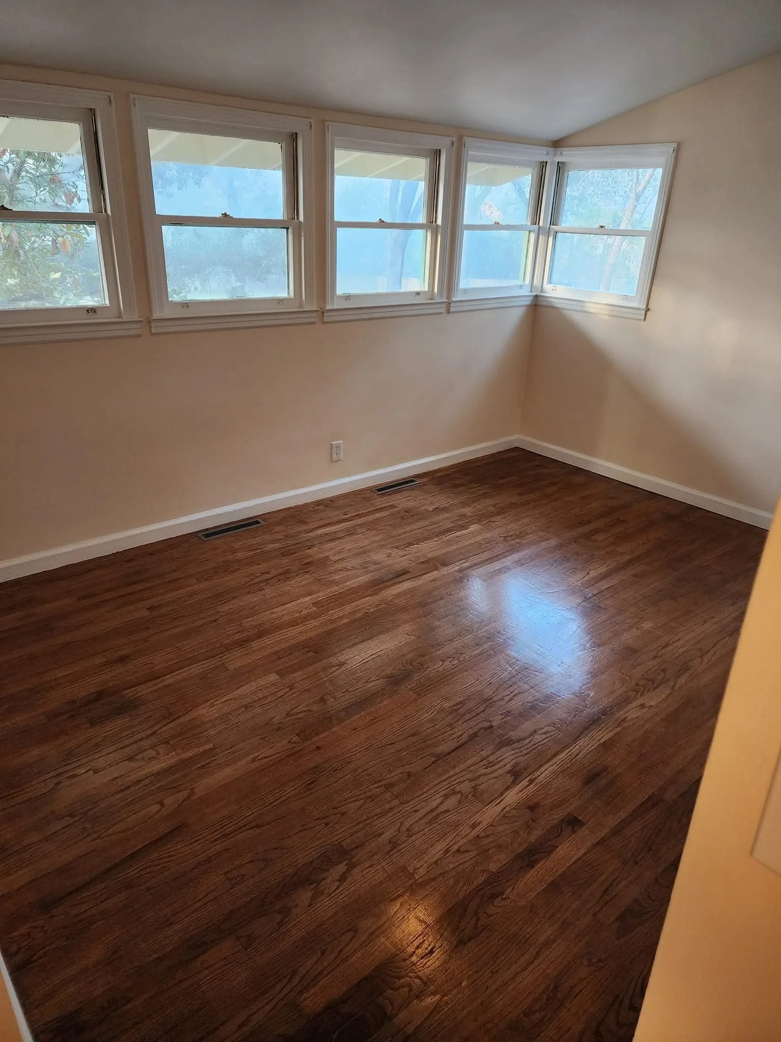Empty room with hardwood floors, beige walls, and a row of five windows letting in natural light.