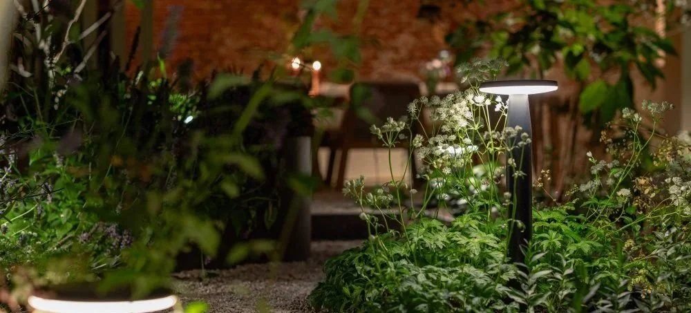 Outdoor garden at night illuminated by modern pathway lights, with lush green plants and flowers, and a wooden deck with chairs in the background.