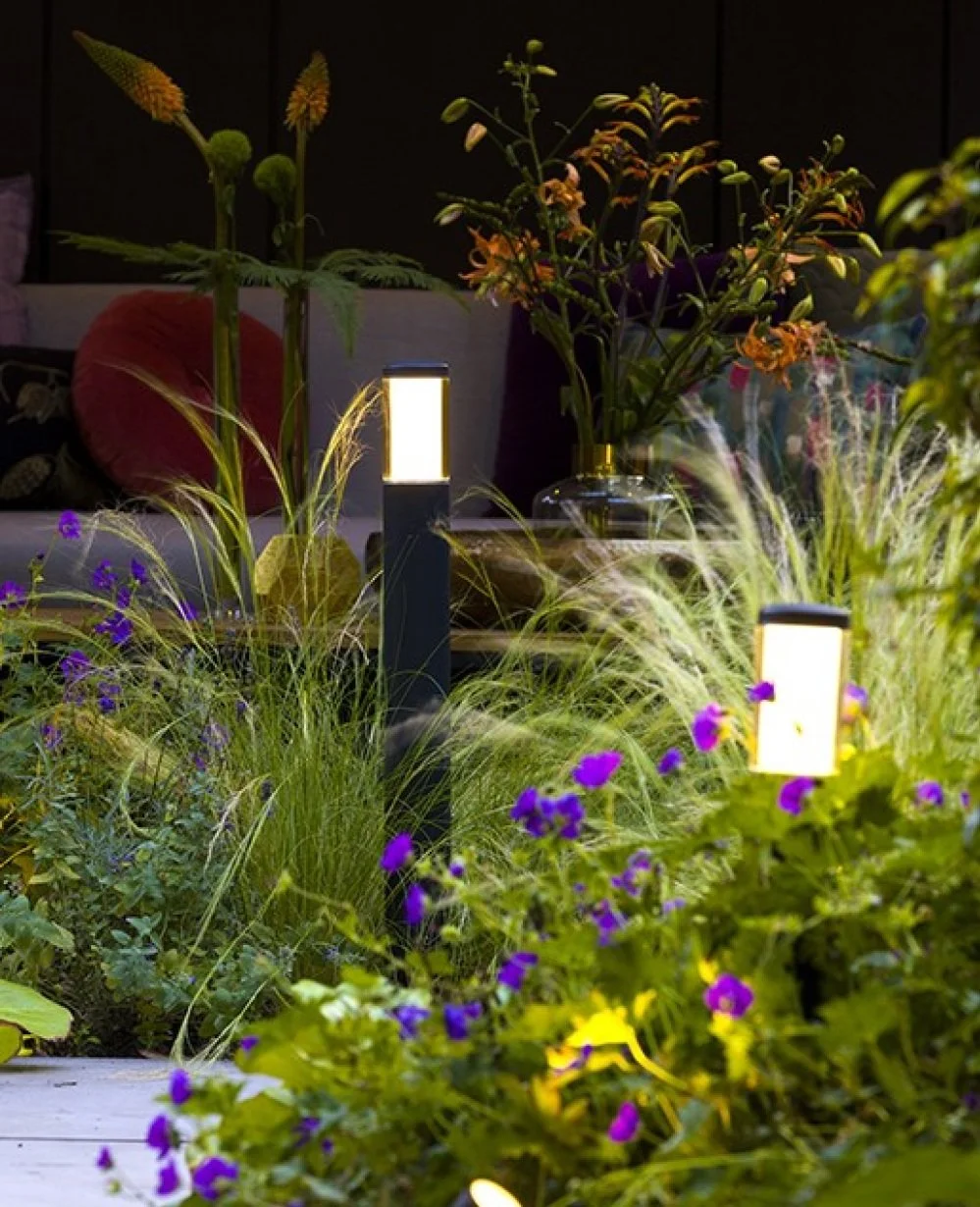 Nighttime garden scene with colorful flowers, tall grasses, and illuminating pathway lights, with a living room sofa and Flowers in the background.