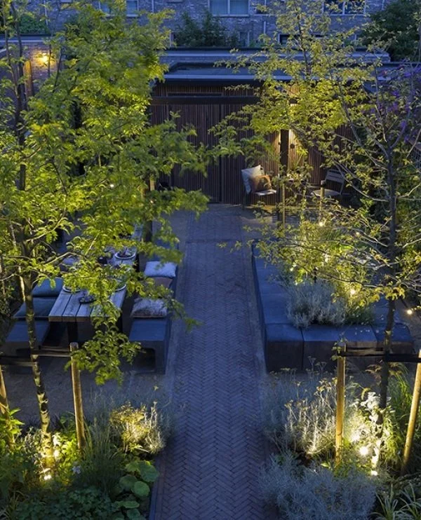 A cozy backyard patio area illuminated by warm lights, with trees, outdoor seating, and a pathway.