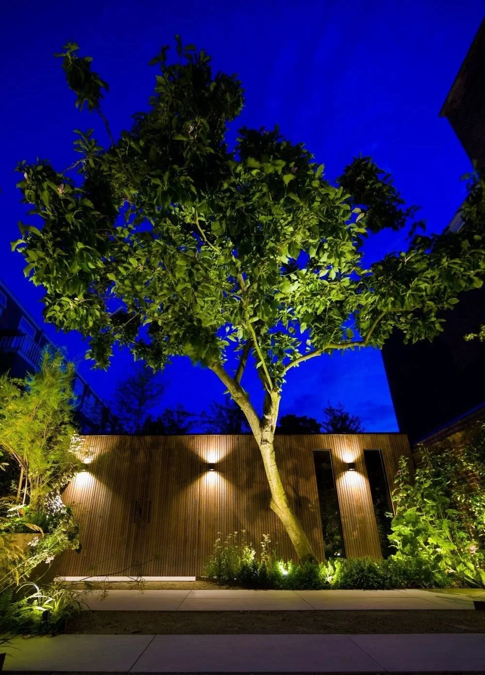 Night view of a leafy tree illuminated by outdoor lights, with a modern wooden fence and greenery beneath, against a deep blue evening sky.