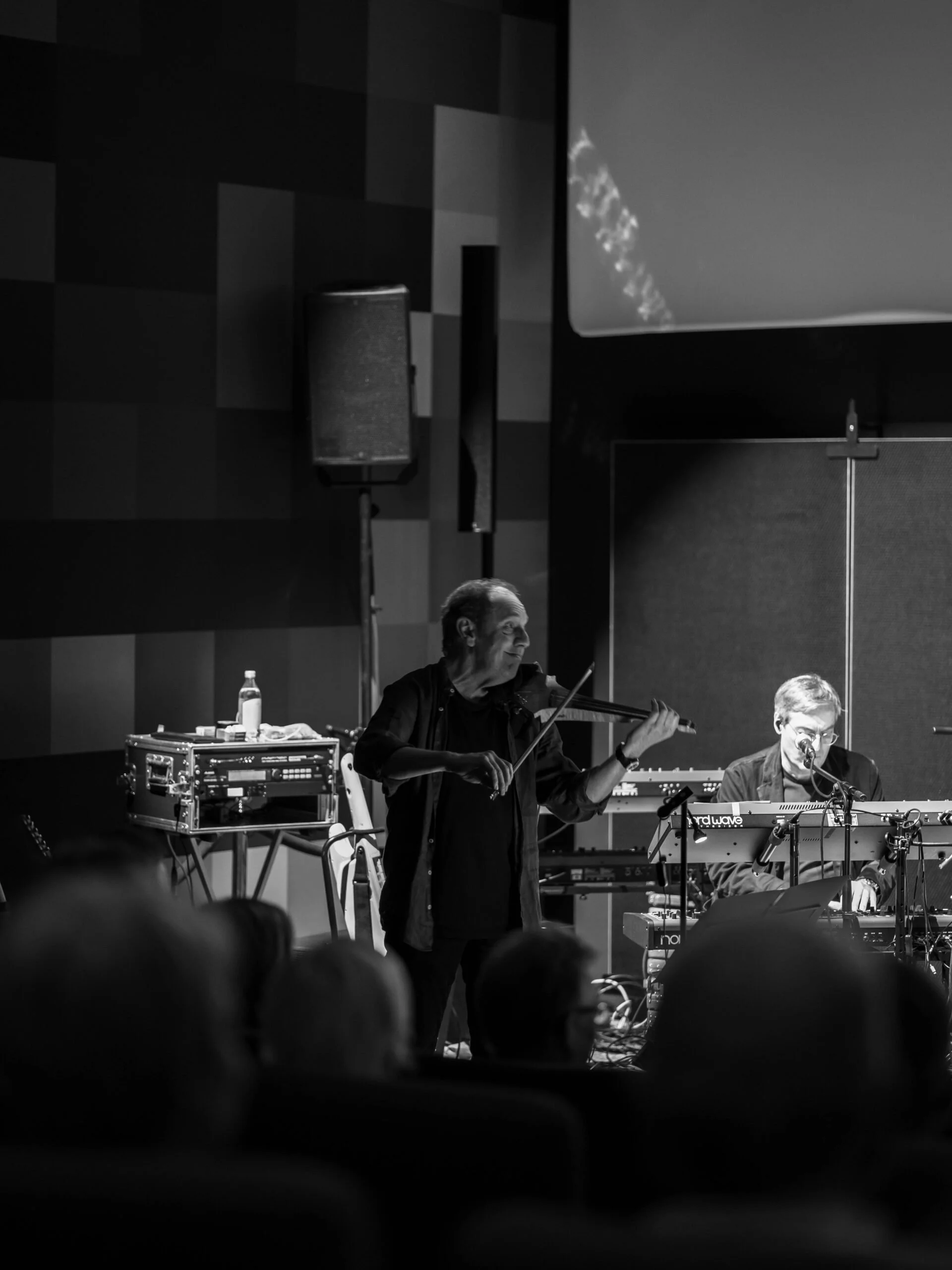 Berna Spectres & Walking Walnuts im Lichtspiel