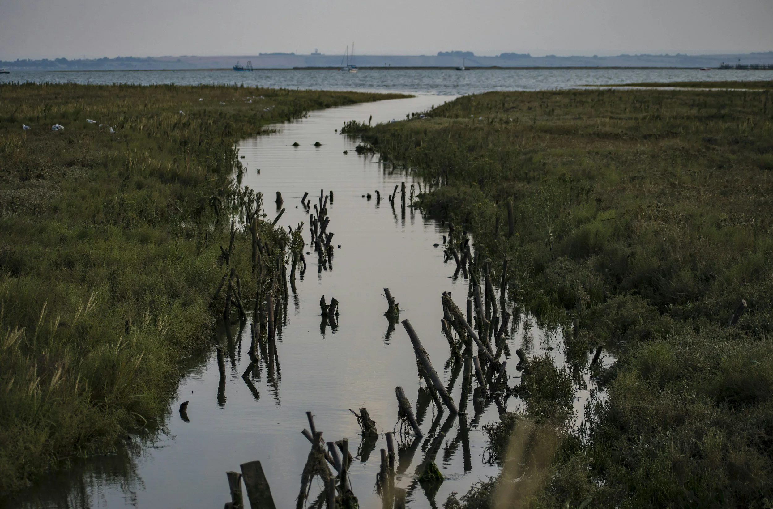 A marshland with a narrow waterway, old wooden posts along the edges, and a body of water with boats in the distance under a cloudy sky.