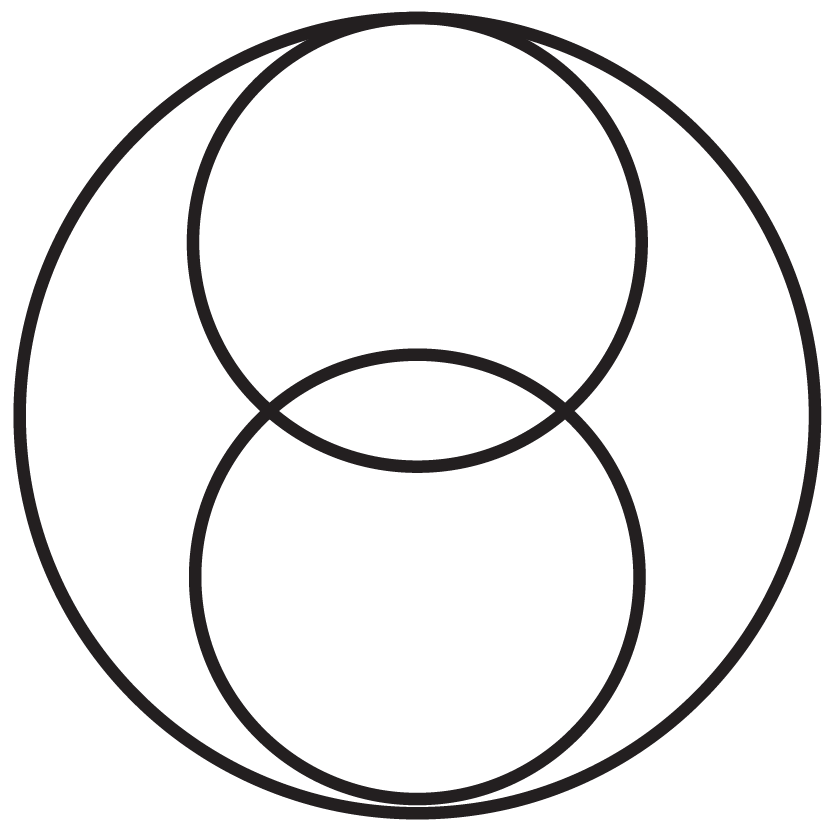One-on-one transformational coaching symbolized by two overlapping circles with a larger circle encompassing them.
