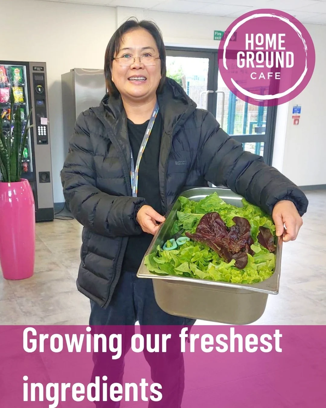 For the past three weeks, every salad leaf served has come directly from our rooftop garden.

This has helped us reduce food miles, cut waste, and become more sustainable while serving you the freshest ingredients possible.

We are proud to grow our 