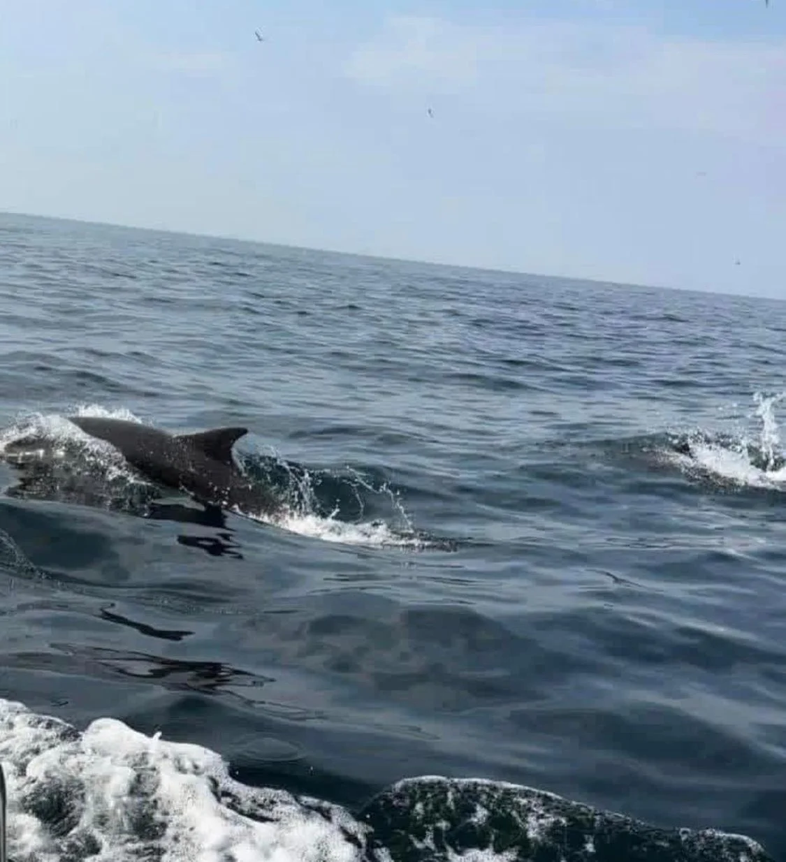 True North Boating (11).jpeg