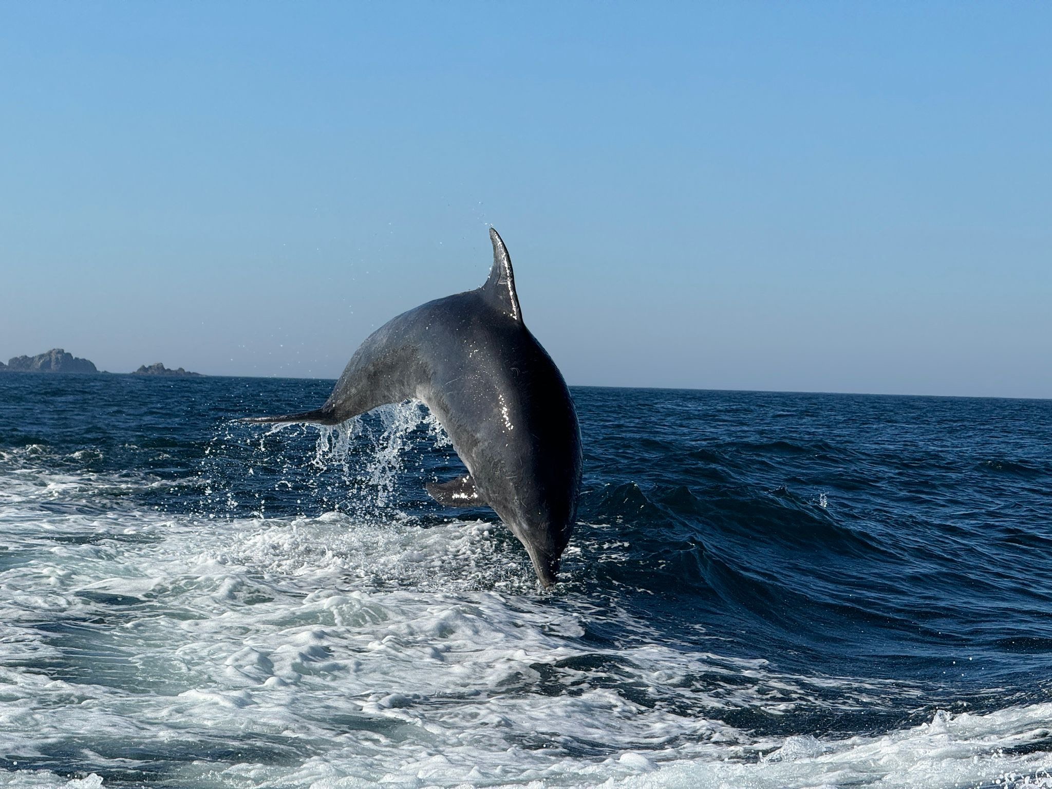 Some images from trips out with True North Boating