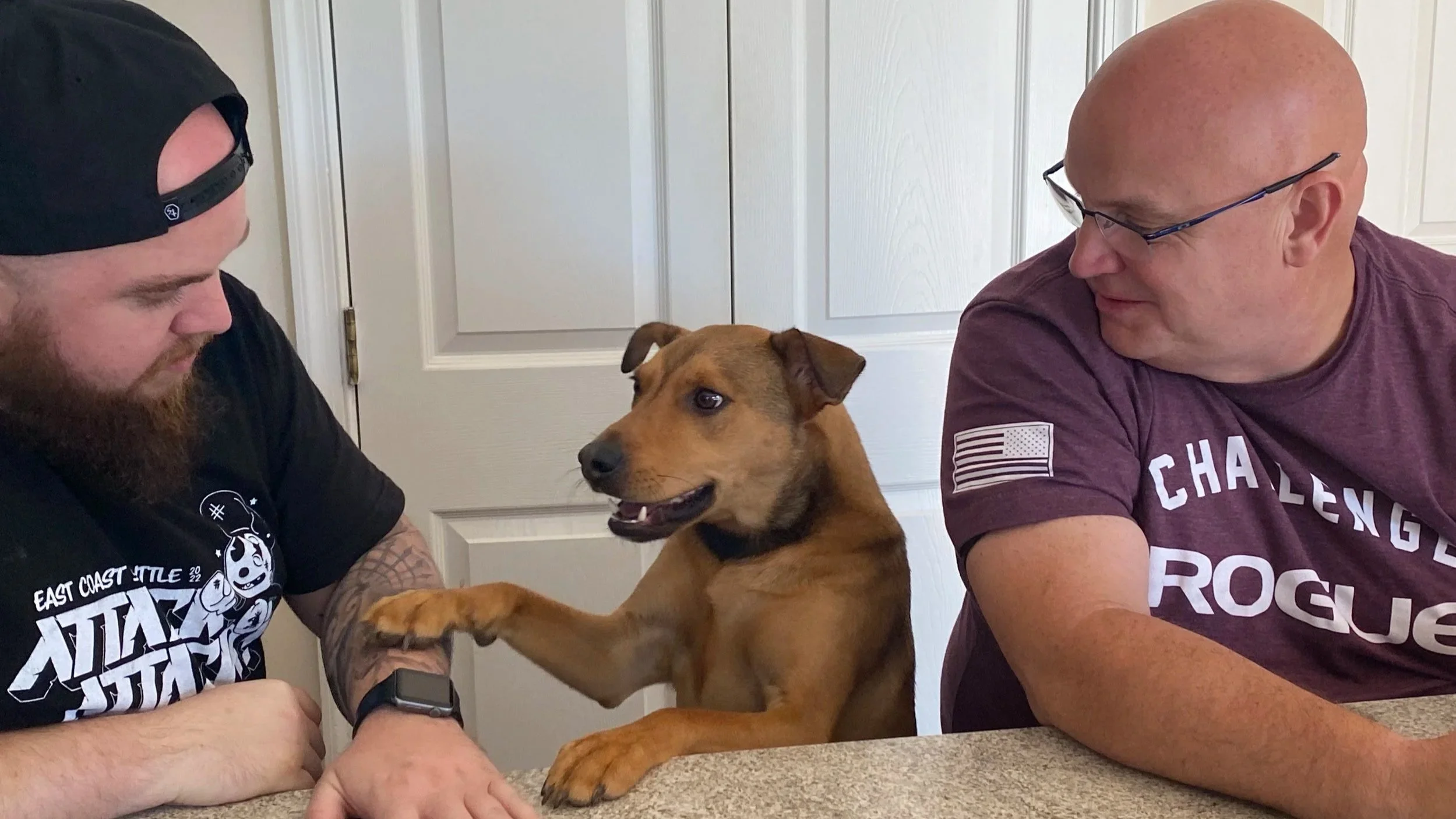 Two men sitting at a table with a brown dog between them, the dog extending its paw towards the man on the left.