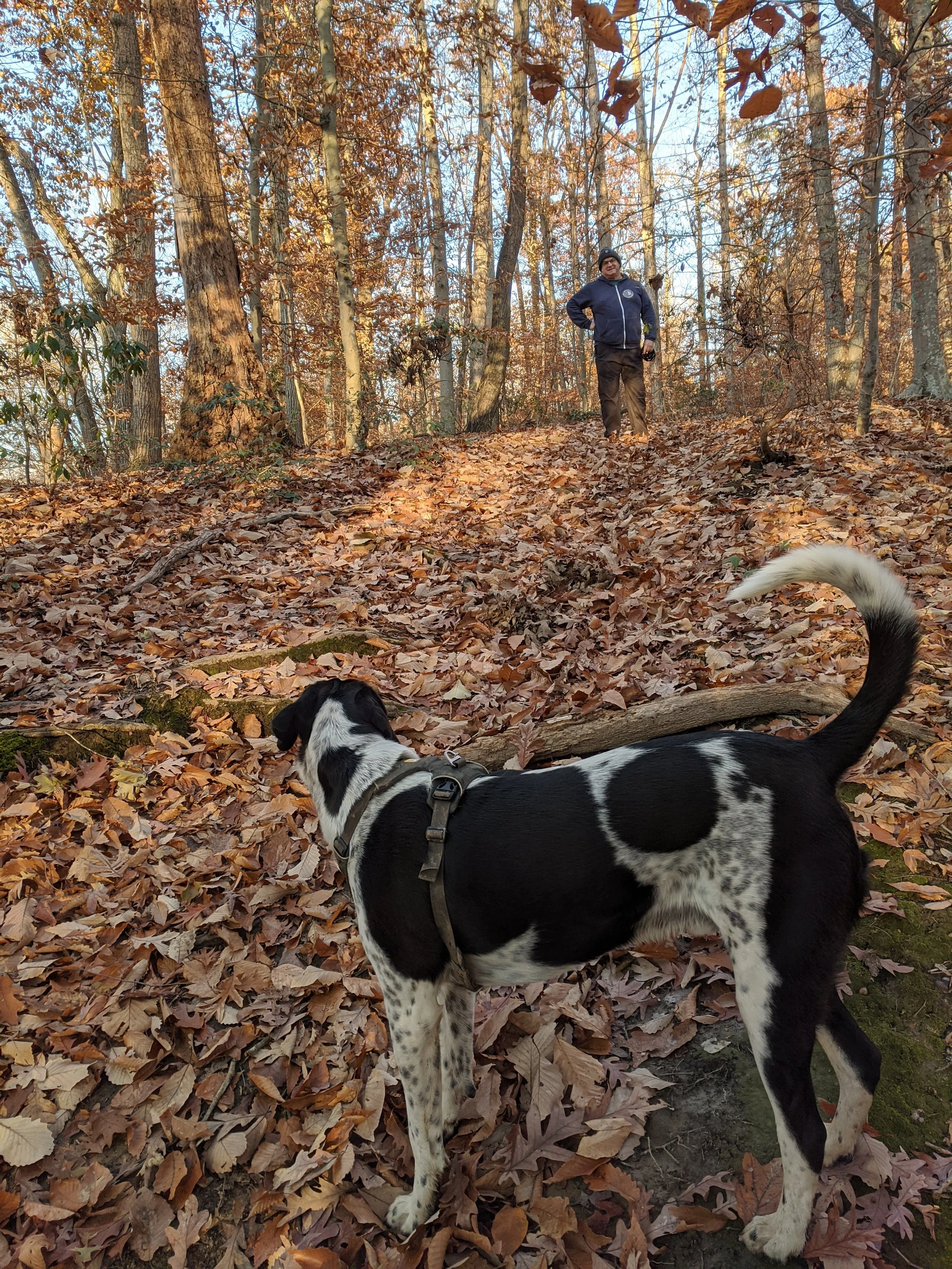 IMG_20191128_075629.jpg