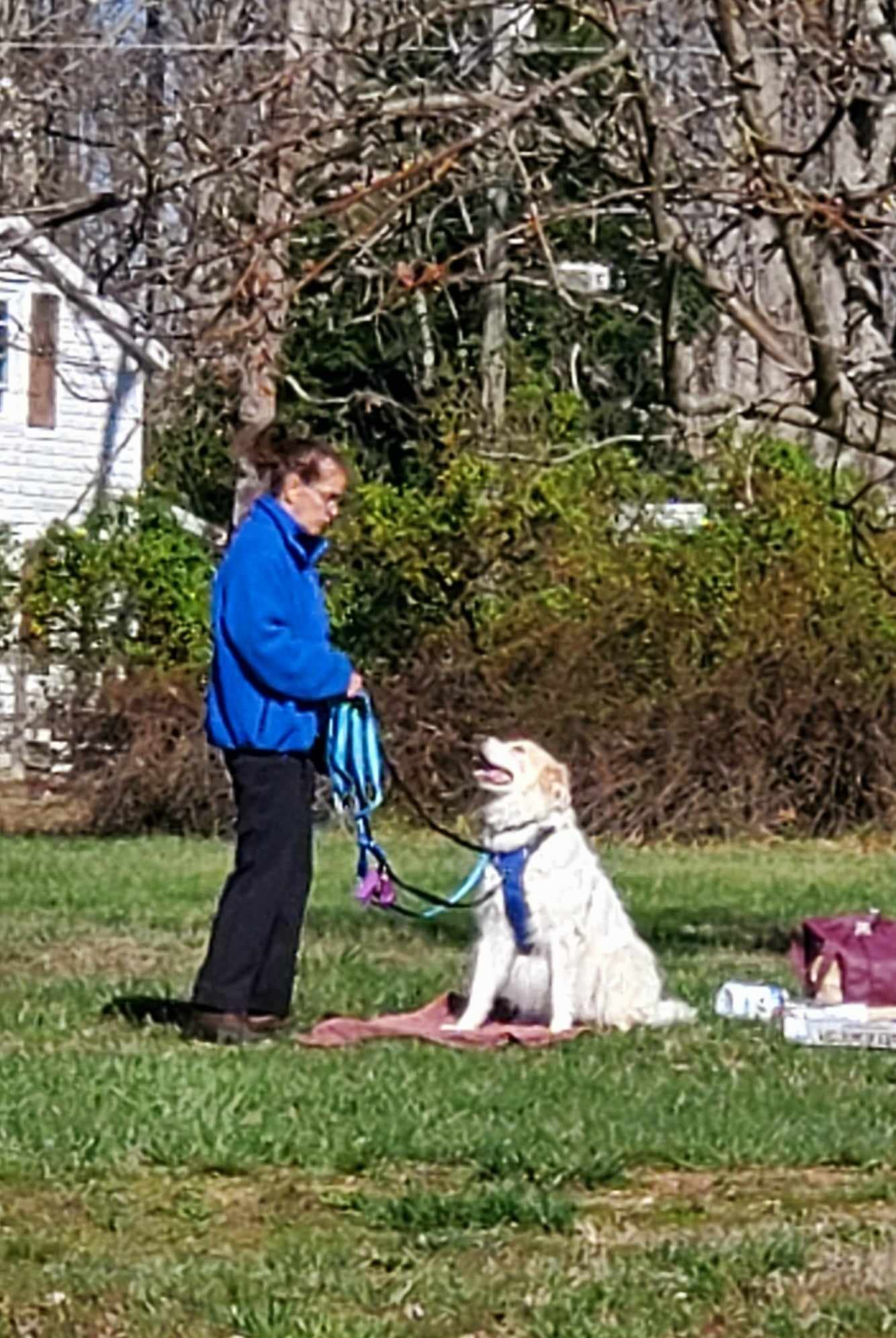 Starting Slow, On Purpose: What Your Dog's First Weeks With Us Really Look Like