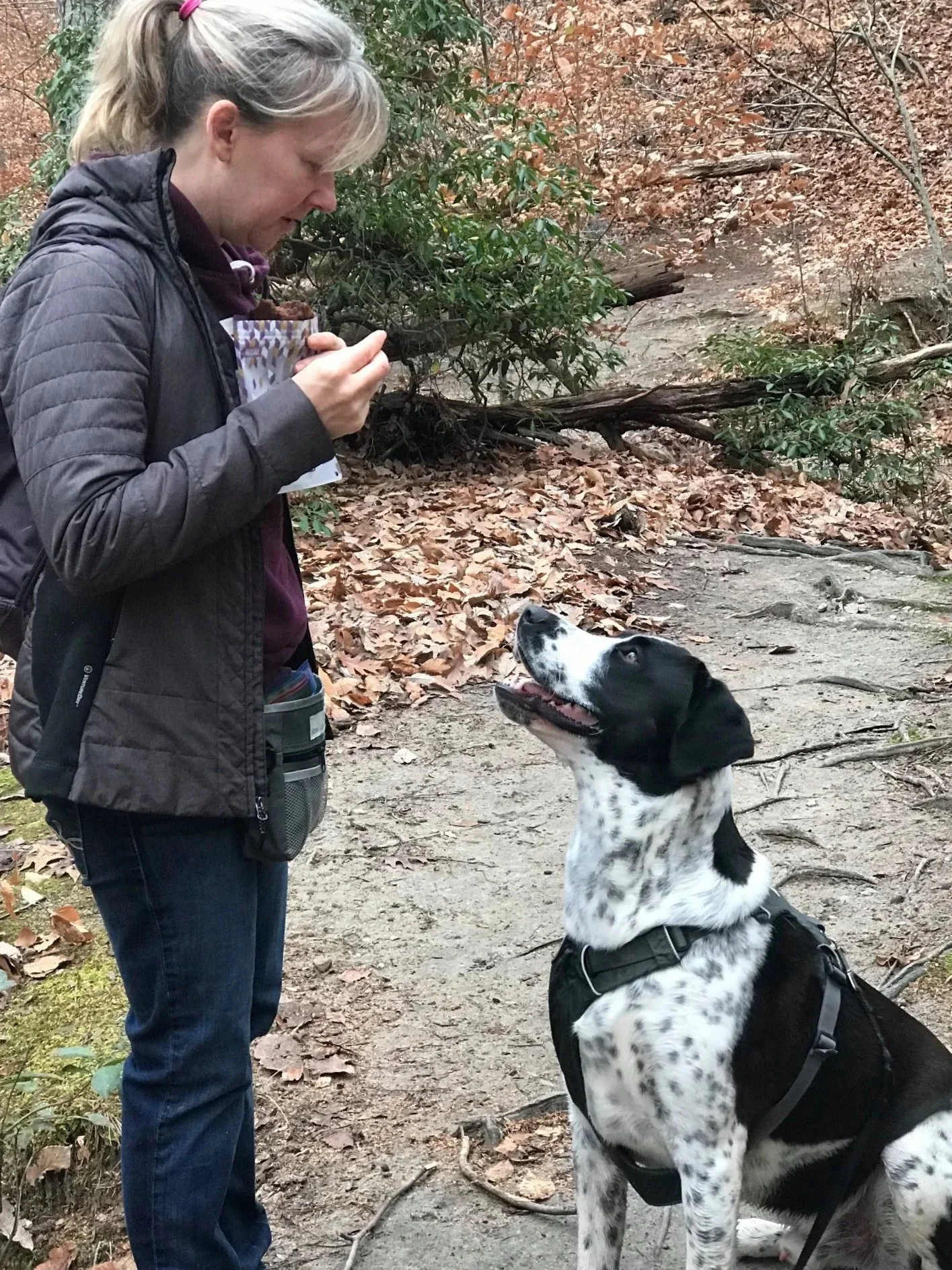 A woman with blonde hair tied back, wearing a brown jacket and jeans, stands on a wooded trail holding a small container of snacks, offering a treat to a black and white spotted dog sitting attentively and looking up at her.