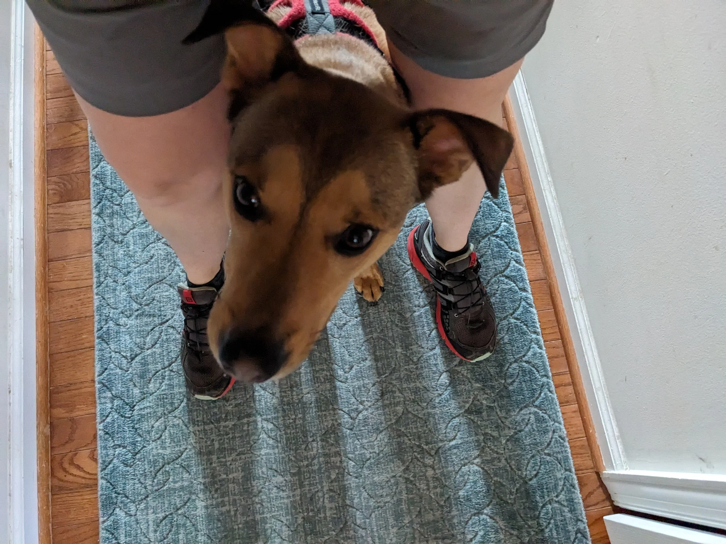 Murphy Roo loves Middle as his power pose.