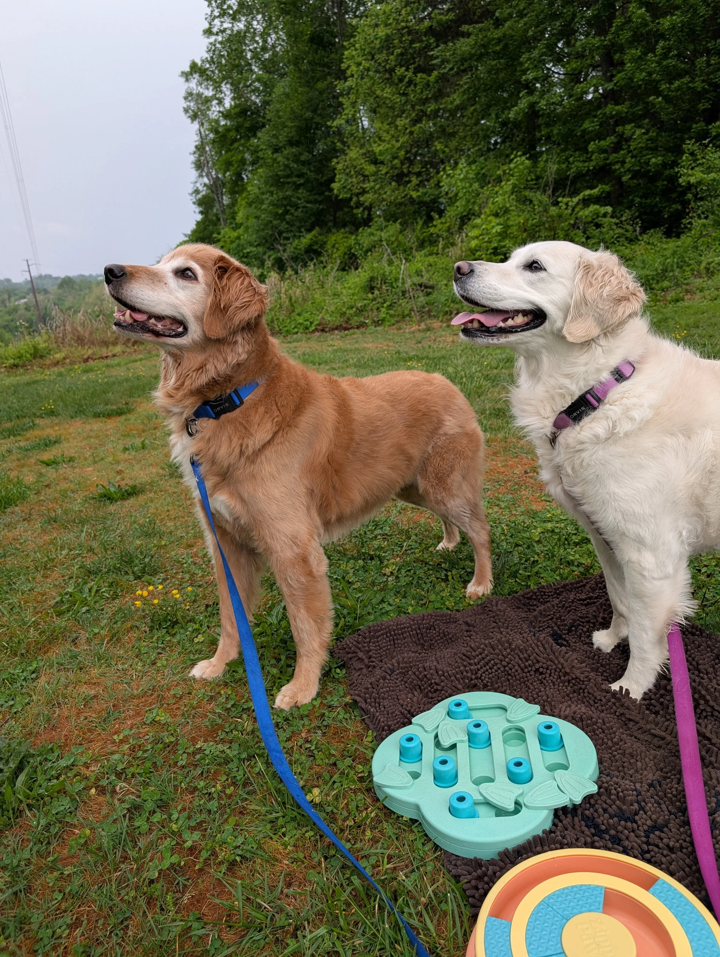 Puzzles help Winston and Aspen stay focused with their mom and dad while at the park.