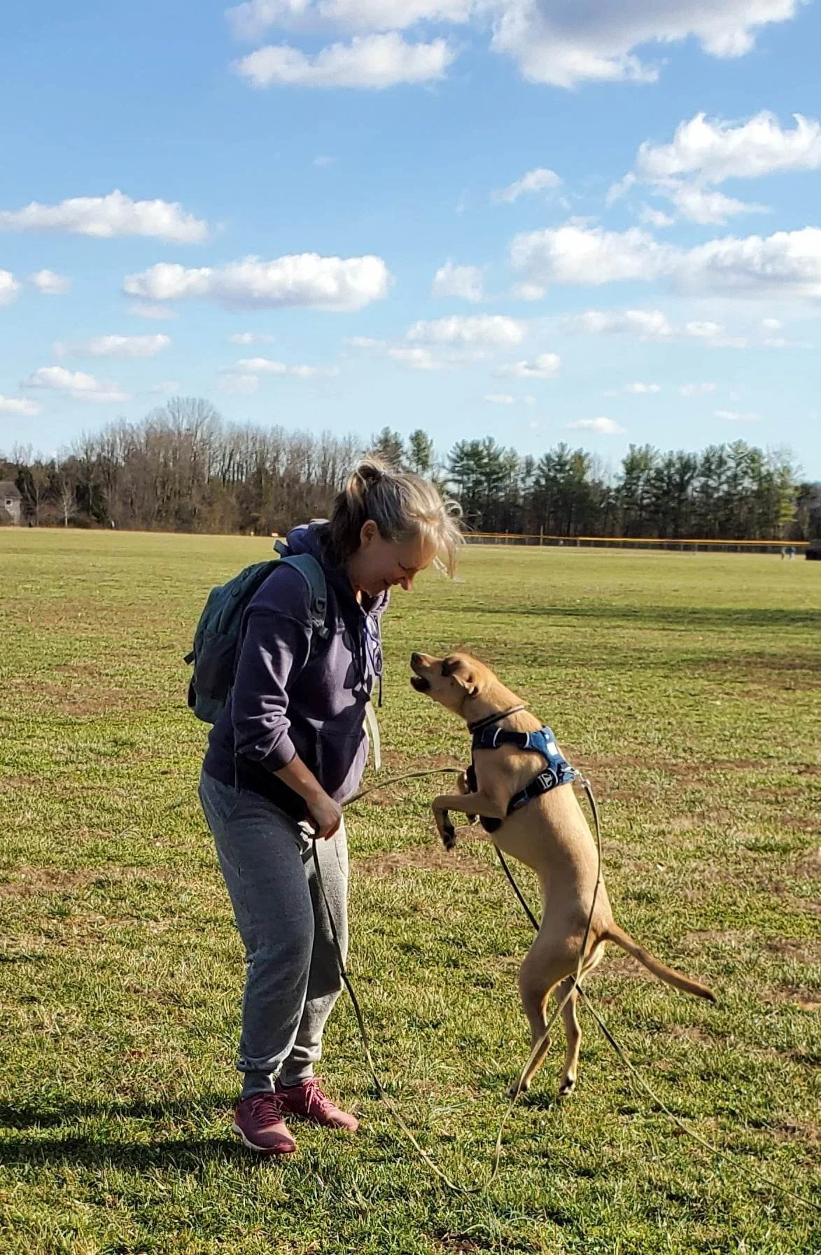 It's so tempting to just remove that leash but it's not worth it until your dog has the proven skills.