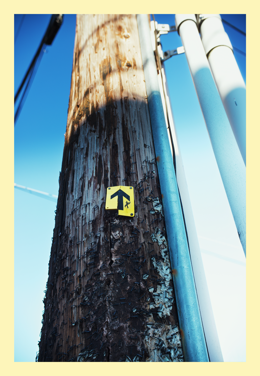 IMG_0995 Edited Large.png