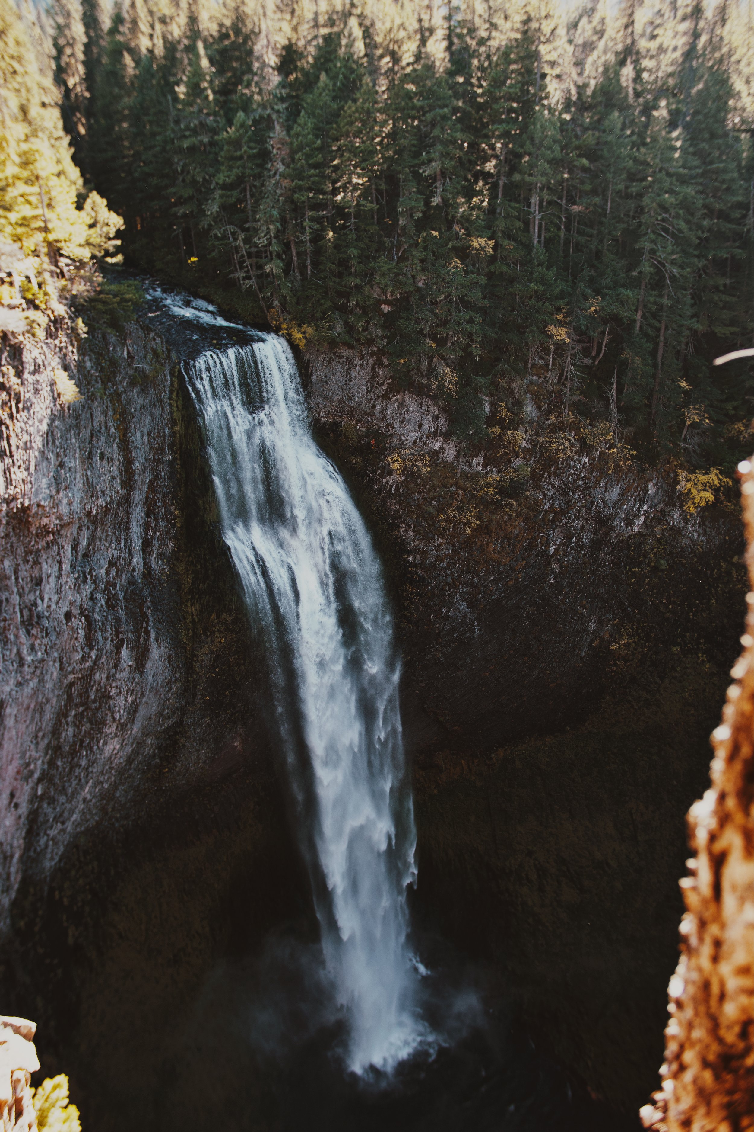 IMG_8497 1 Edited.jpg