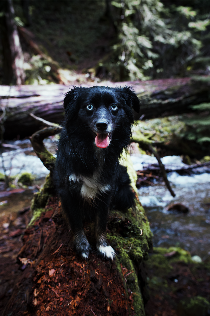 IMG_6560 Edited Large.png