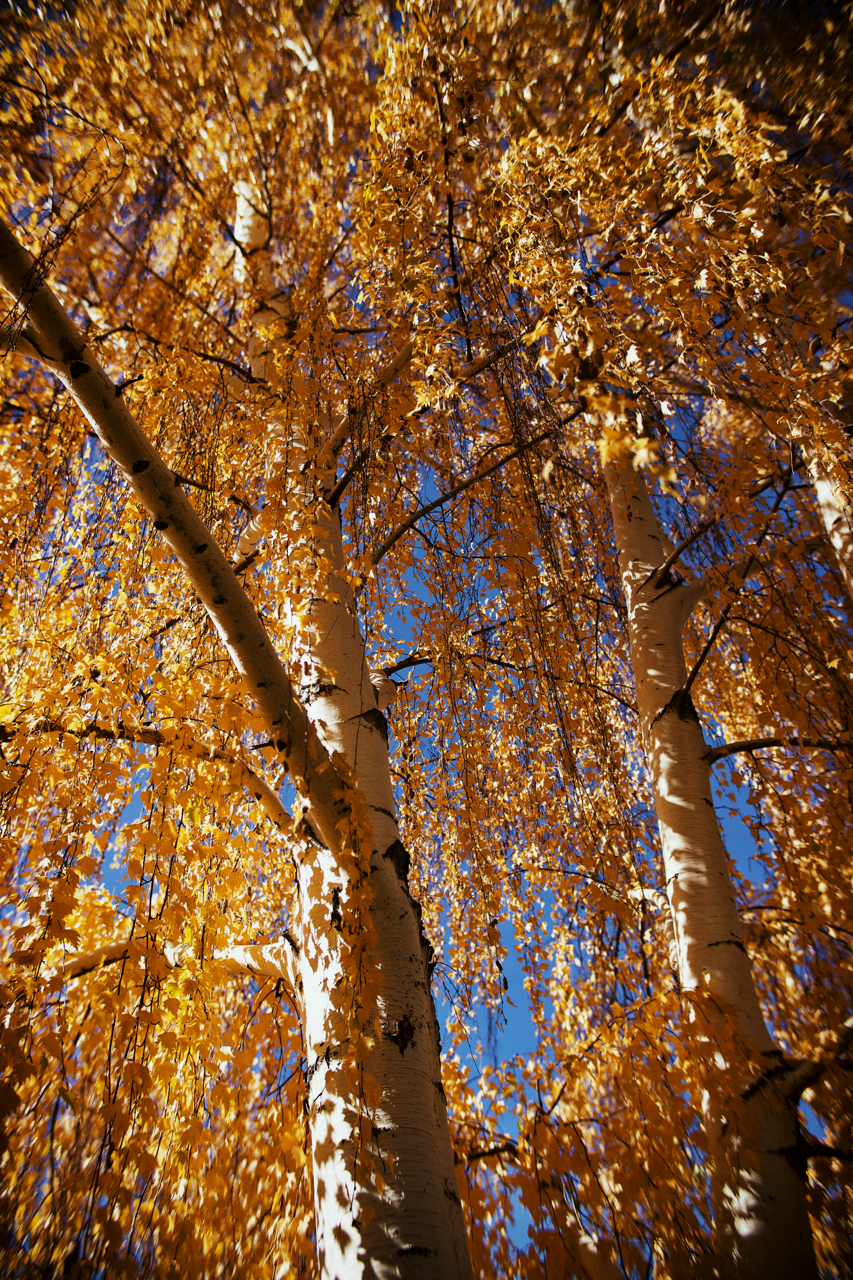 IMG_8550 4 Edited Large.png