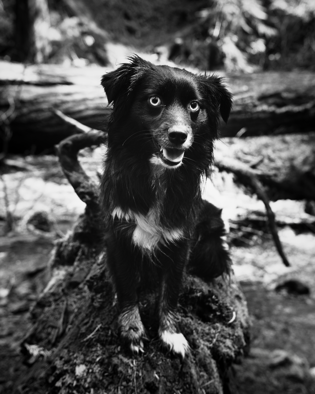 IMG_6563 Edited Large.png