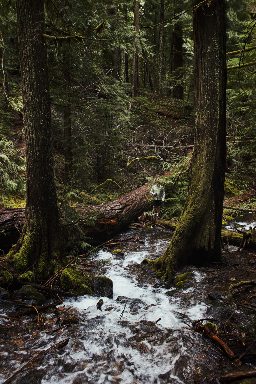 IMG_6444%20Edited Edited Large.png