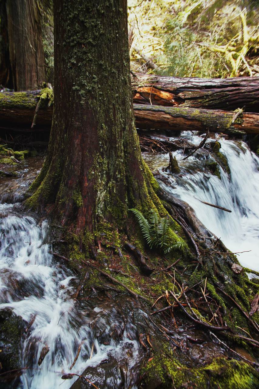 IMG_6525%20Edited Edited Large.png