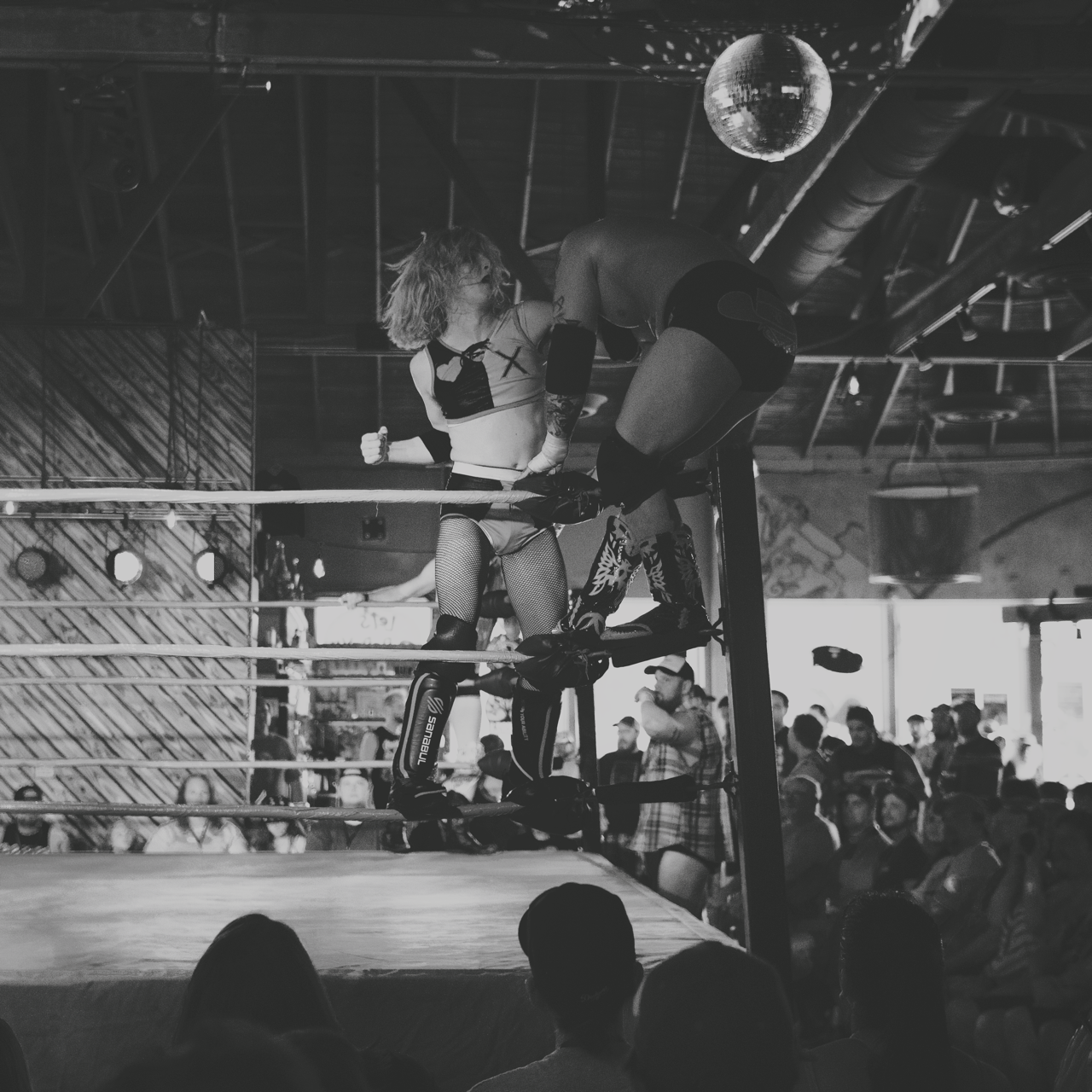 IMG_7532 1 Edited Large.png