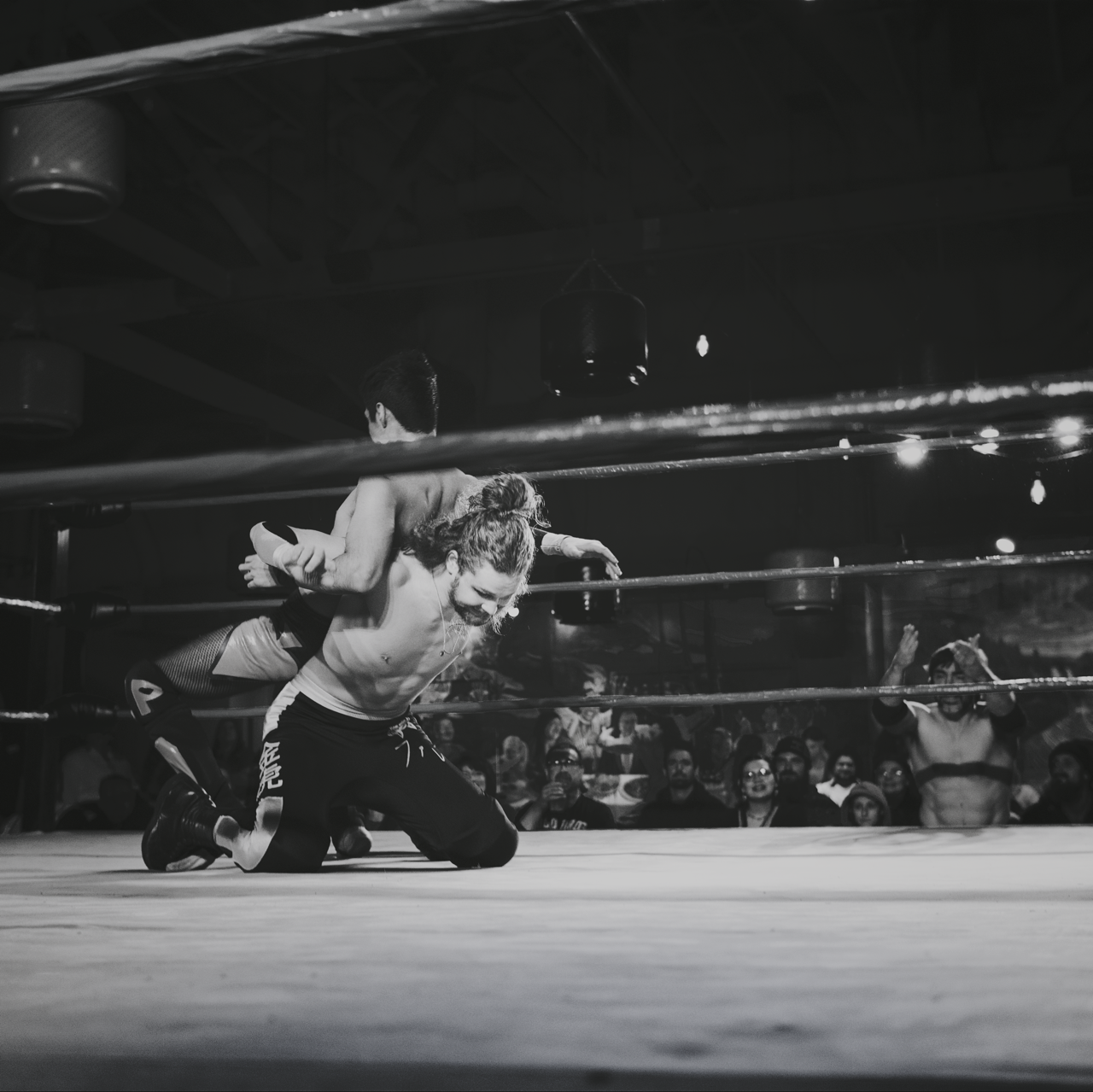 IMG_2271 Edited Large.png