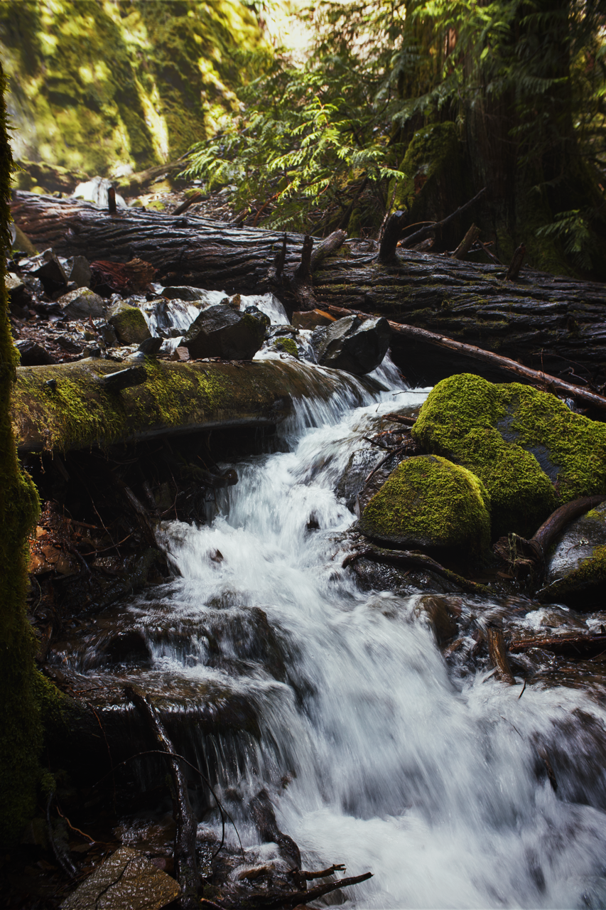 IMG_6482%20Edited Edited Large.png